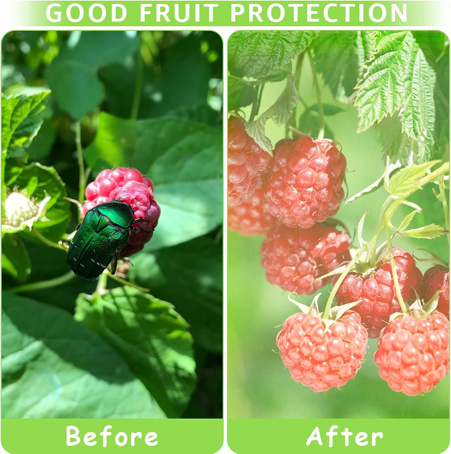 50 Pcs Fruit Protection Bags,8''×12''Fruit Netting Bags for Fruit Trees Fruit Cover Mesh Bag with Drawstring Netting Barrier Bags for Plant Fruit Flower - Image 2