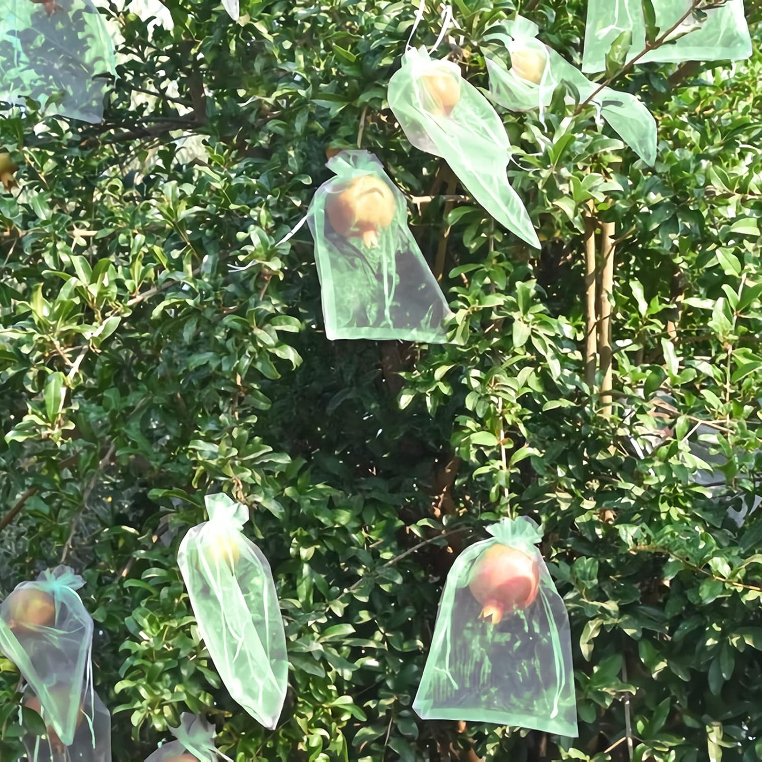 50 Pcs Fruit Protection Bags,8''×12''Fruit Netting Bags for Fruit Trees Fruit Cover Mesh Bag with Drawstring Netting Barrier Bags for Plant Fruit Flower - Image 7