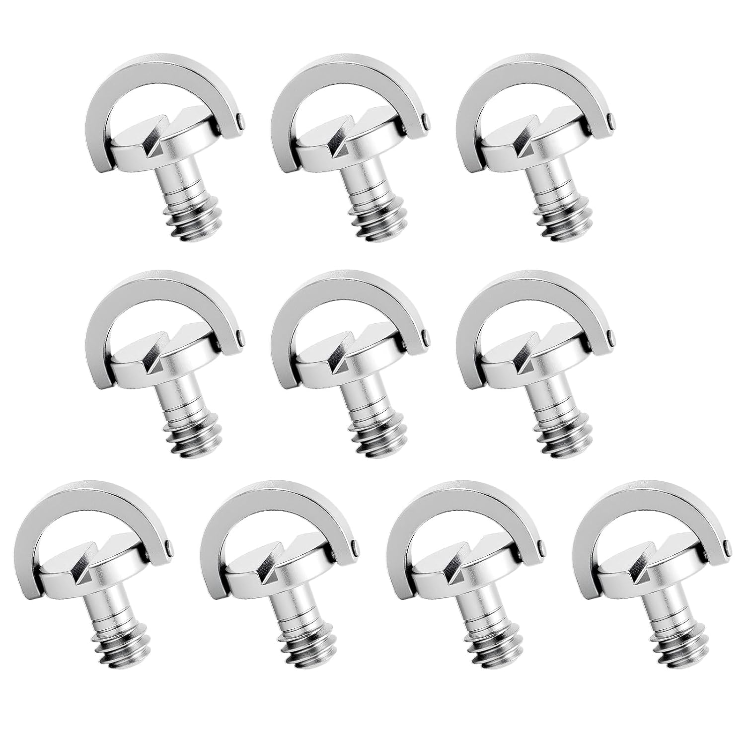 10 Pack Stainless Steel D Ring Screw Hinged Holder, 1/4