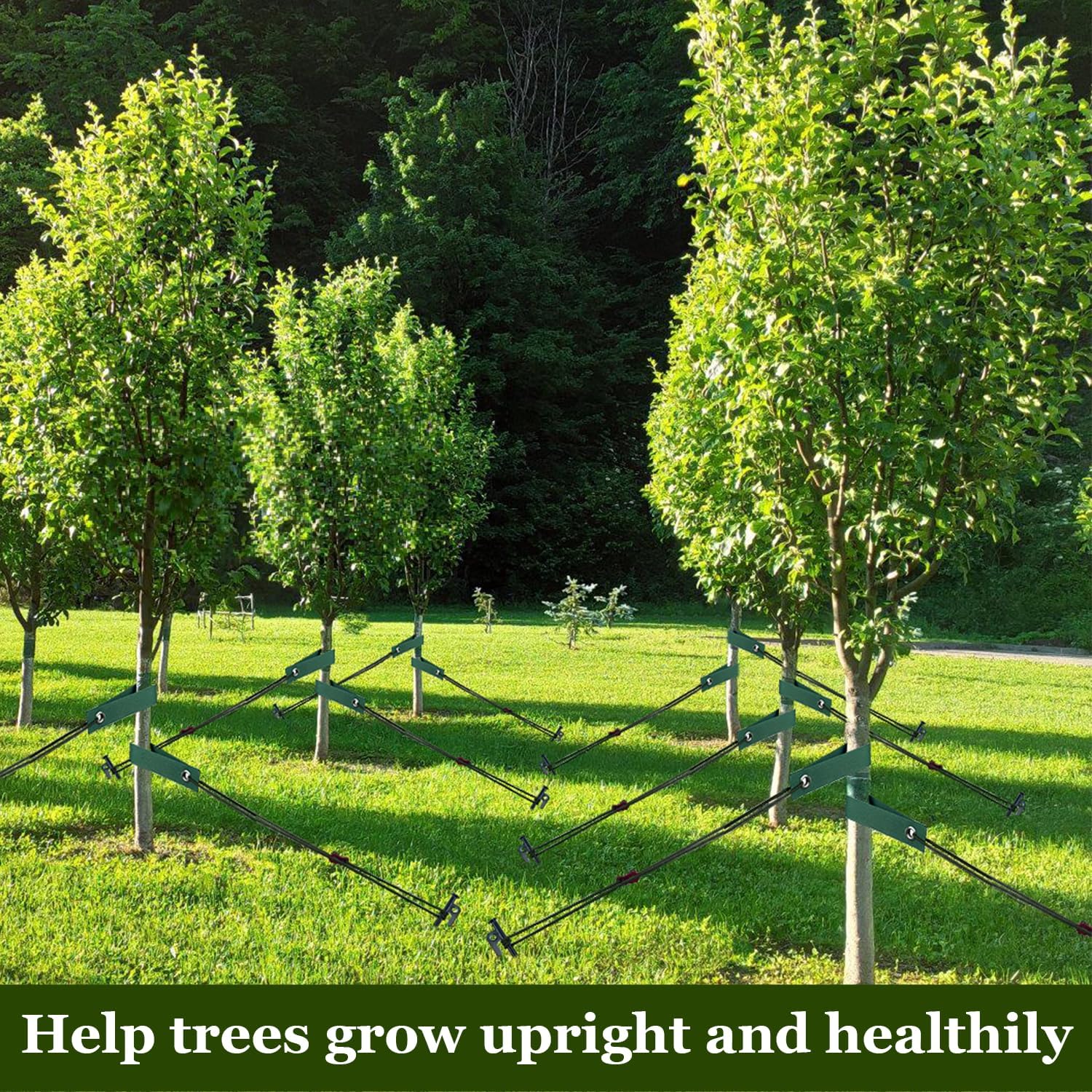 Tree Stakes and Supports, Heavy Duty Tree Stakes Kit Include 3Pcs Tree Straps for Staking, 3Pcs 12