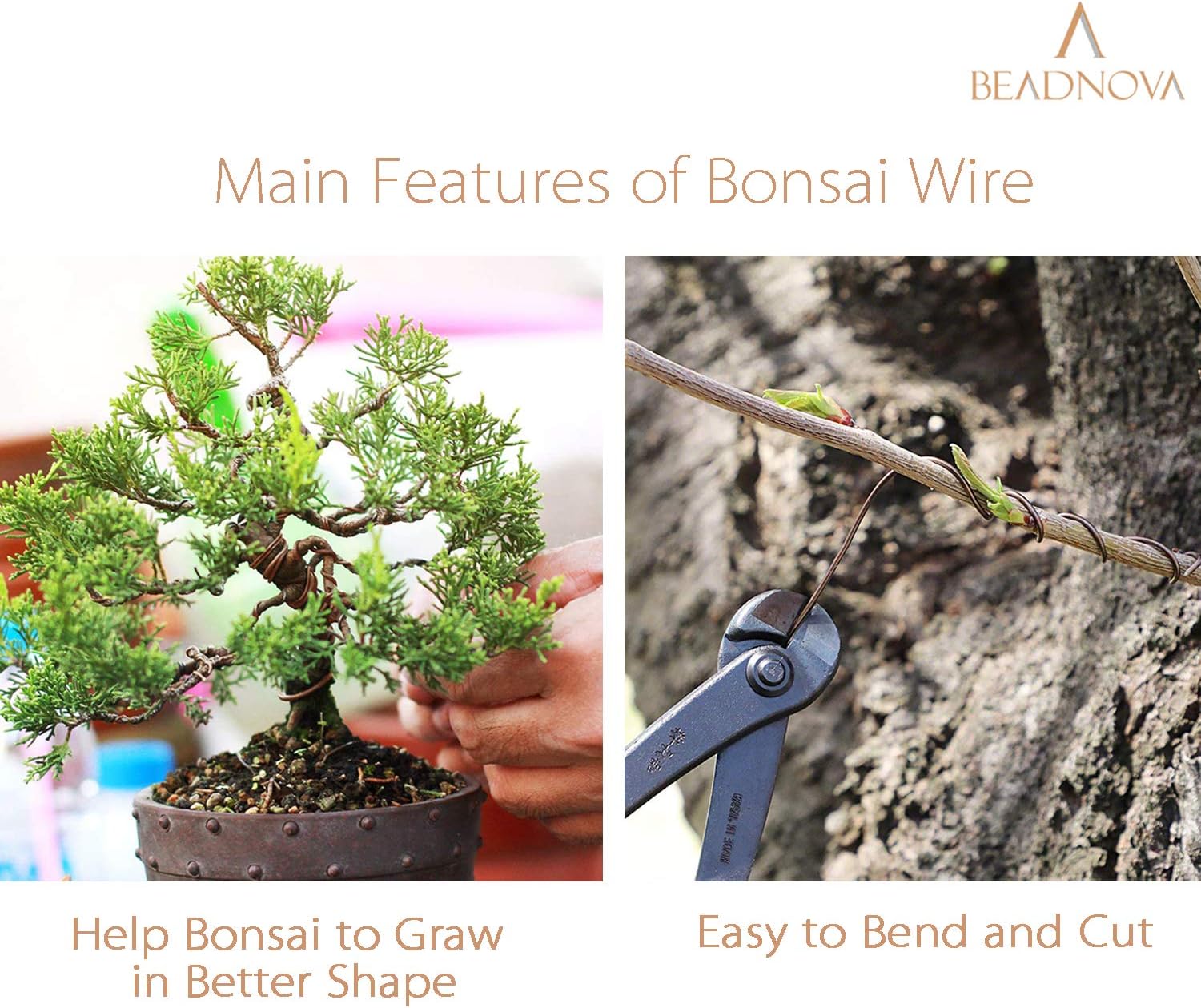 Plant Training Wire 98 Feet Copper Bonsai Tree Aluminium Plant Wire for Training Indoor and Outdoor (Copper, 2mm, 30m) - Image 4
