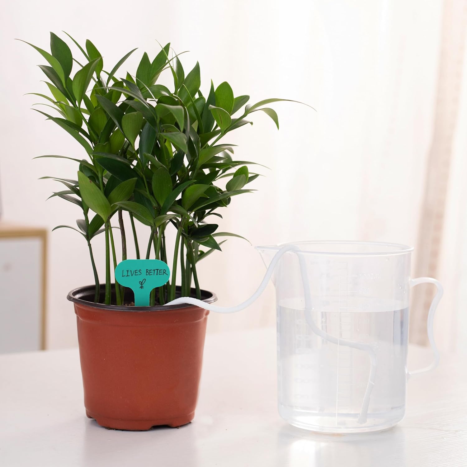 200 feet 1/4 inch Self Watering Capillary Wick Cord Vacation Plant Sitter DIY Hydroponic Wicking Rope Seeds Start Planter Pot Automatic Potted Flower Passive Lazy Waterer String System Device - Image 3