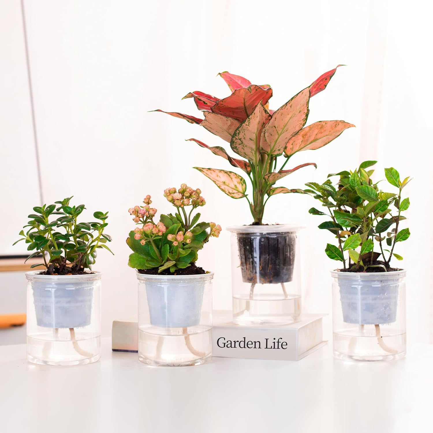 200 feet 1/4 inch Self Watering Capillary Wick Cord Vacation Plant Sitter DIY Hydroponic Wicking Rope Seeds Start Planter Pot Automatic Potted Flower Passive Lazy Waterer String System Device - Image 4