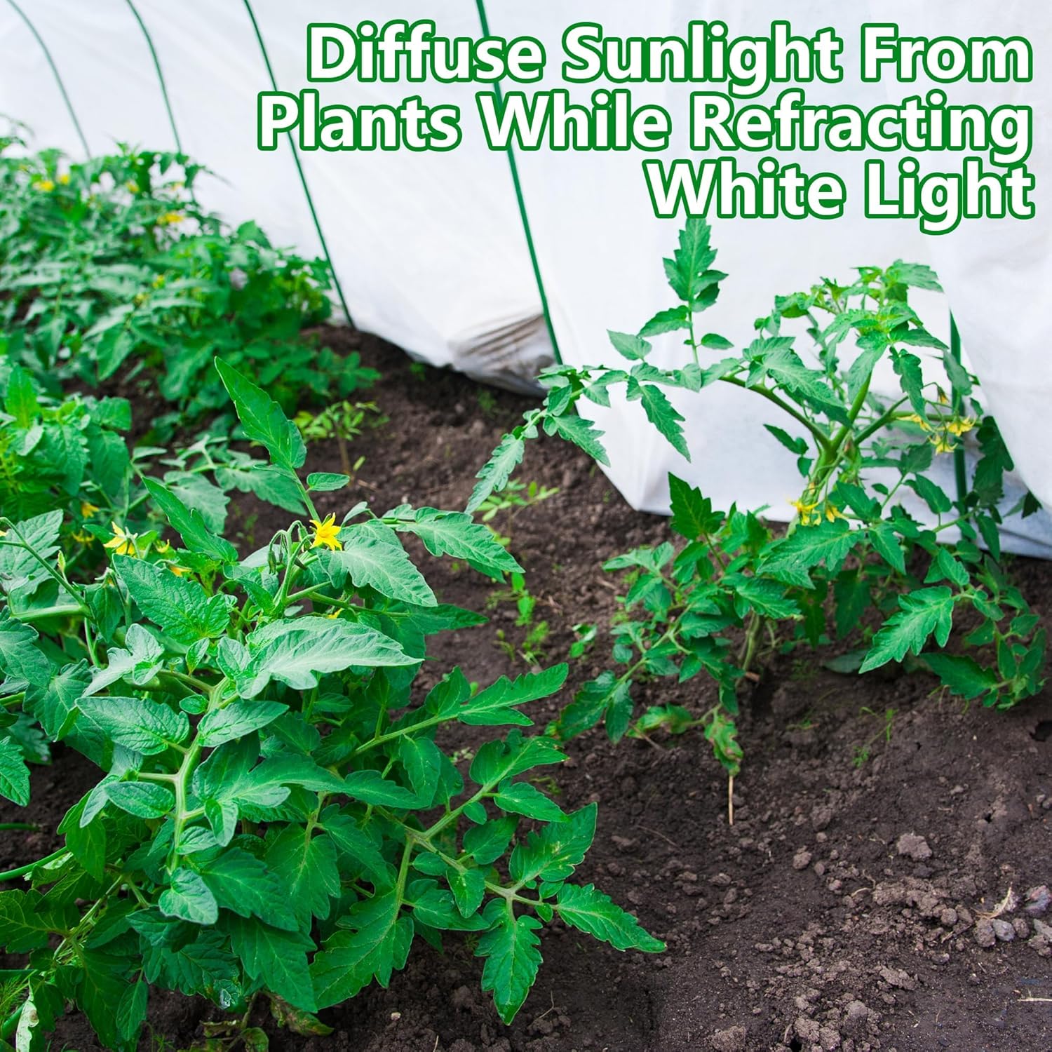 15 x 10 Ft Plant Sun Protection Cloth, Garden Plant Shade Cloth, Non-Woven White Light Refraction Sunshade Cloth for Protecting Plants Vegetable Rows from Direct Sunlight - Image 4
