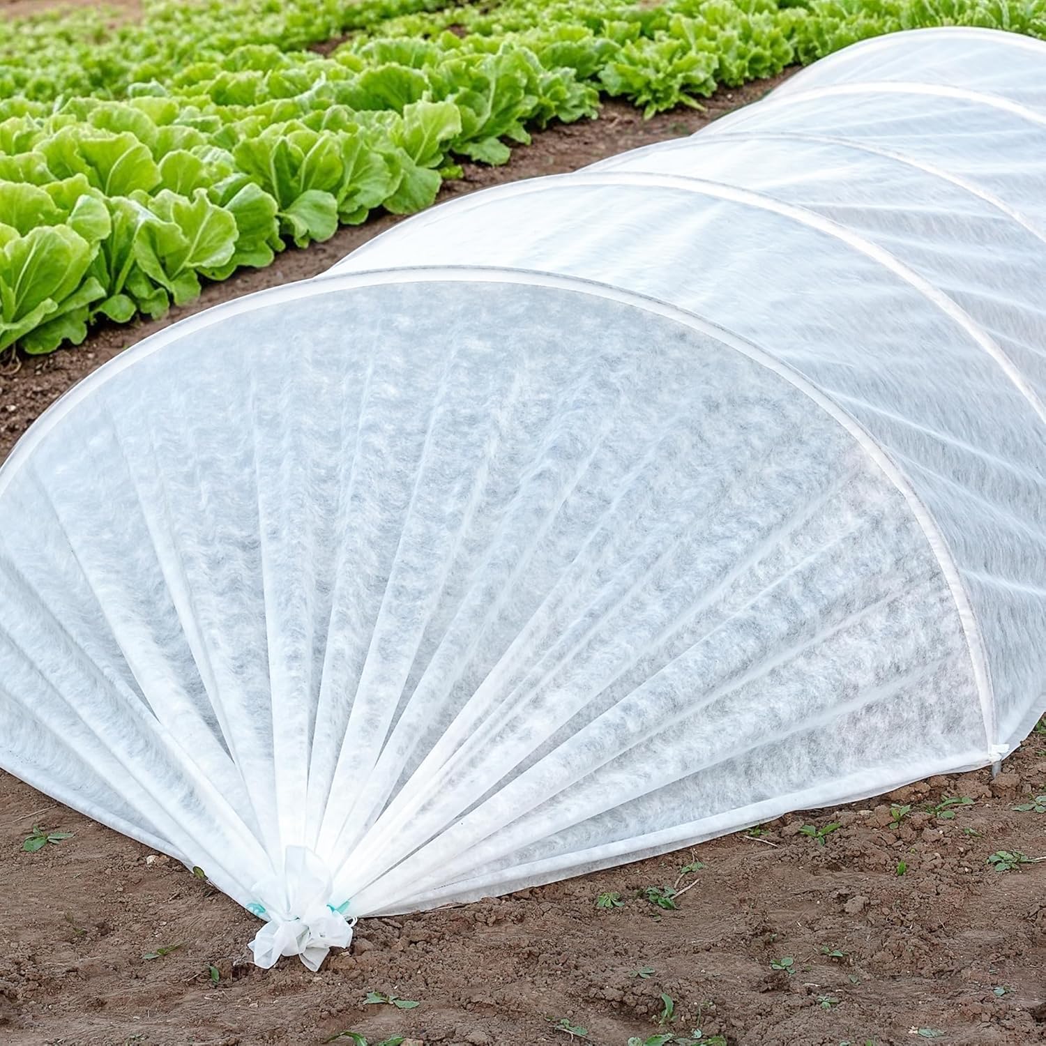 15 x 10 Ft Plant Sun Protection Cloth, Garden Plant Shade Cloth, Non-Woven White Light Refraction Sunshade Cloth for Protecting Plants Vegetable Rows from Direct Sunlight - Image 7