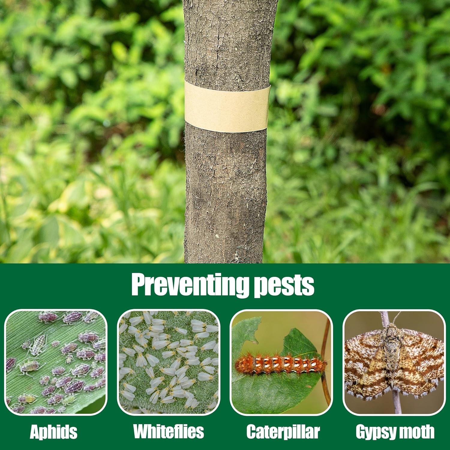 165 Ft x 2 Inch Tree Insect Barrier Tape, Cicada Tree Wrap Protection Tape, Adhesive Crawling Insect Tree Tape for Protecting Fruit Trees Plants Outdoor Lawn Garden - Image 5