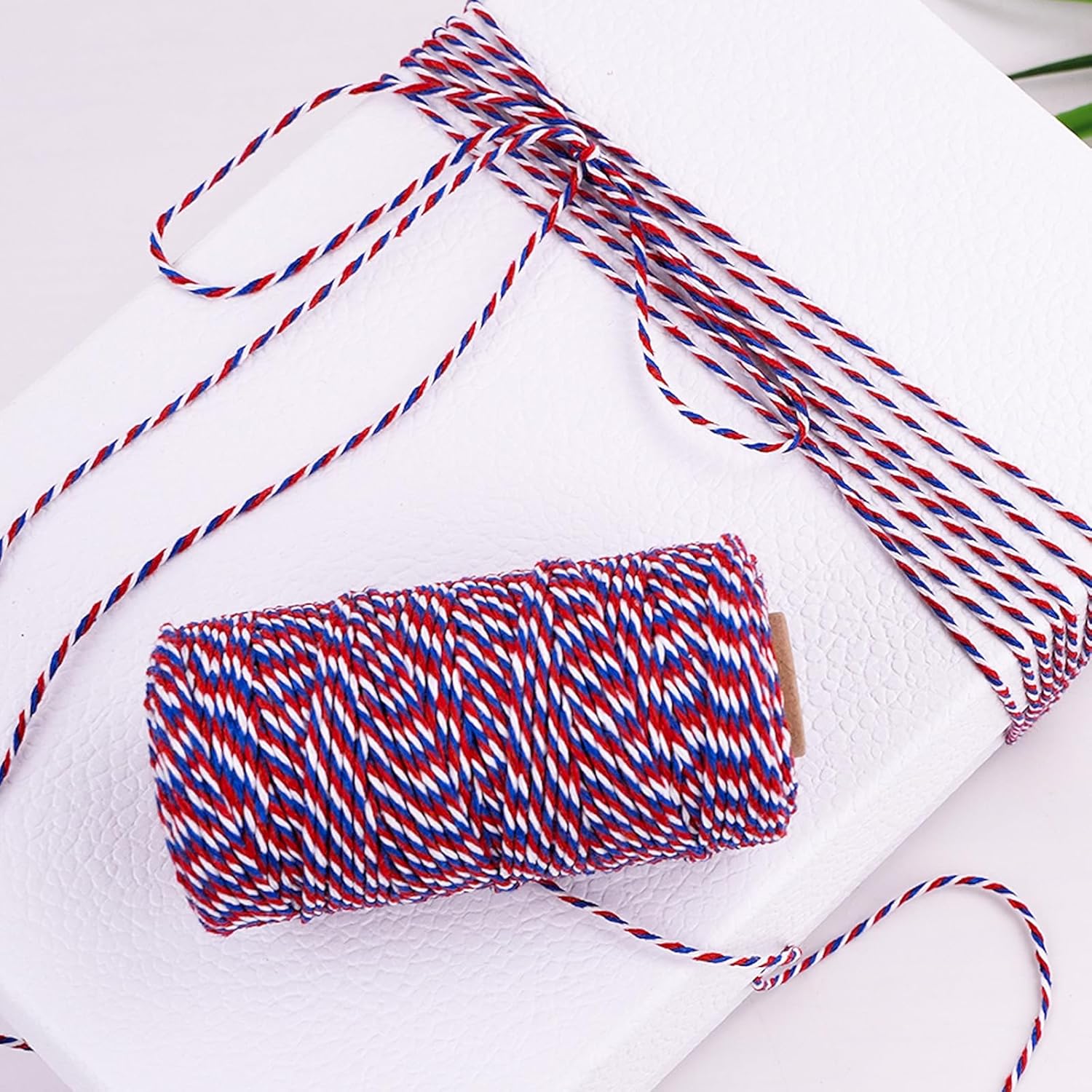 Cotton Twine Red White and Blue Twine String 2mm Thick 328 Feet Bakers Cotton String for Patriotic Day Gift Wrapping DIY Crafts and Floral Bouquet - Image 5