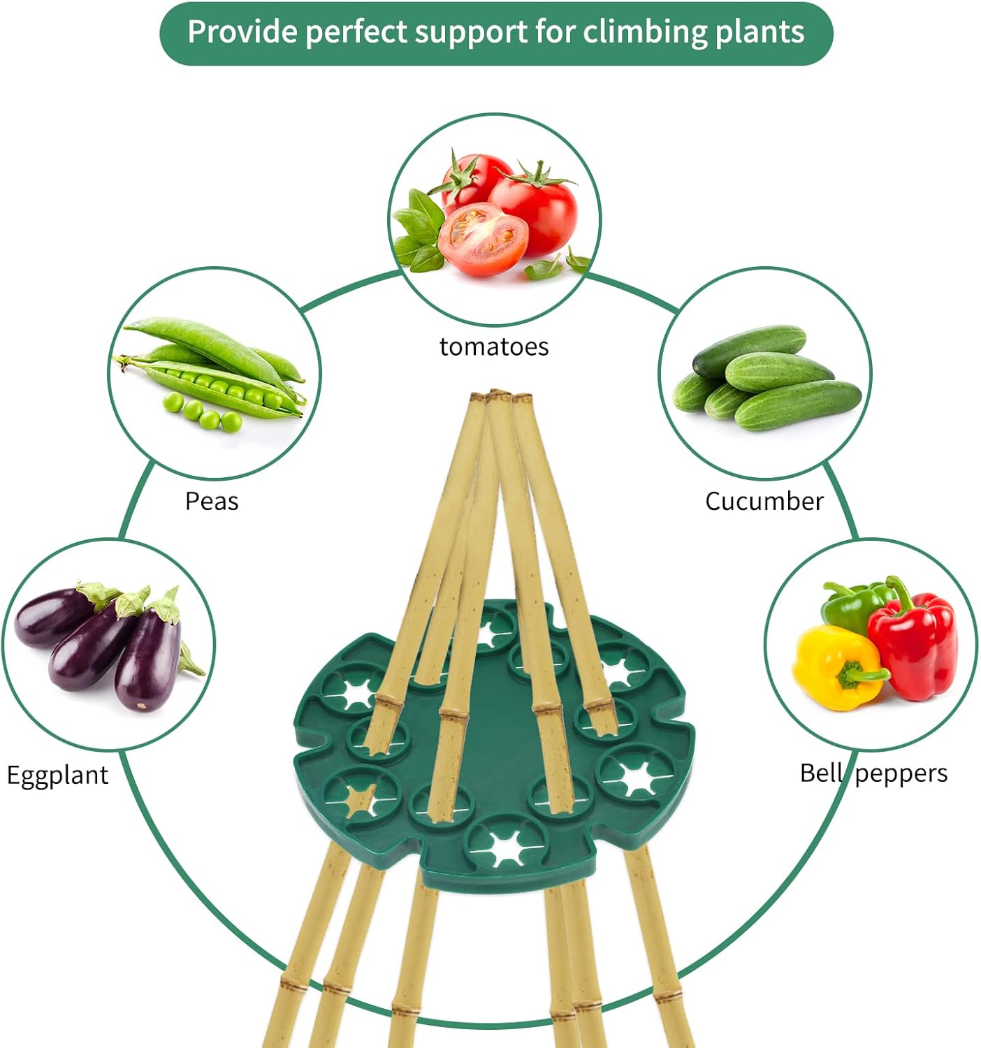 6 Pcs Bamboo Cane Holder Plastic Plant Cane Support Caps Holders for Climbing Plants Sweet Peas Beans Green - Image 3