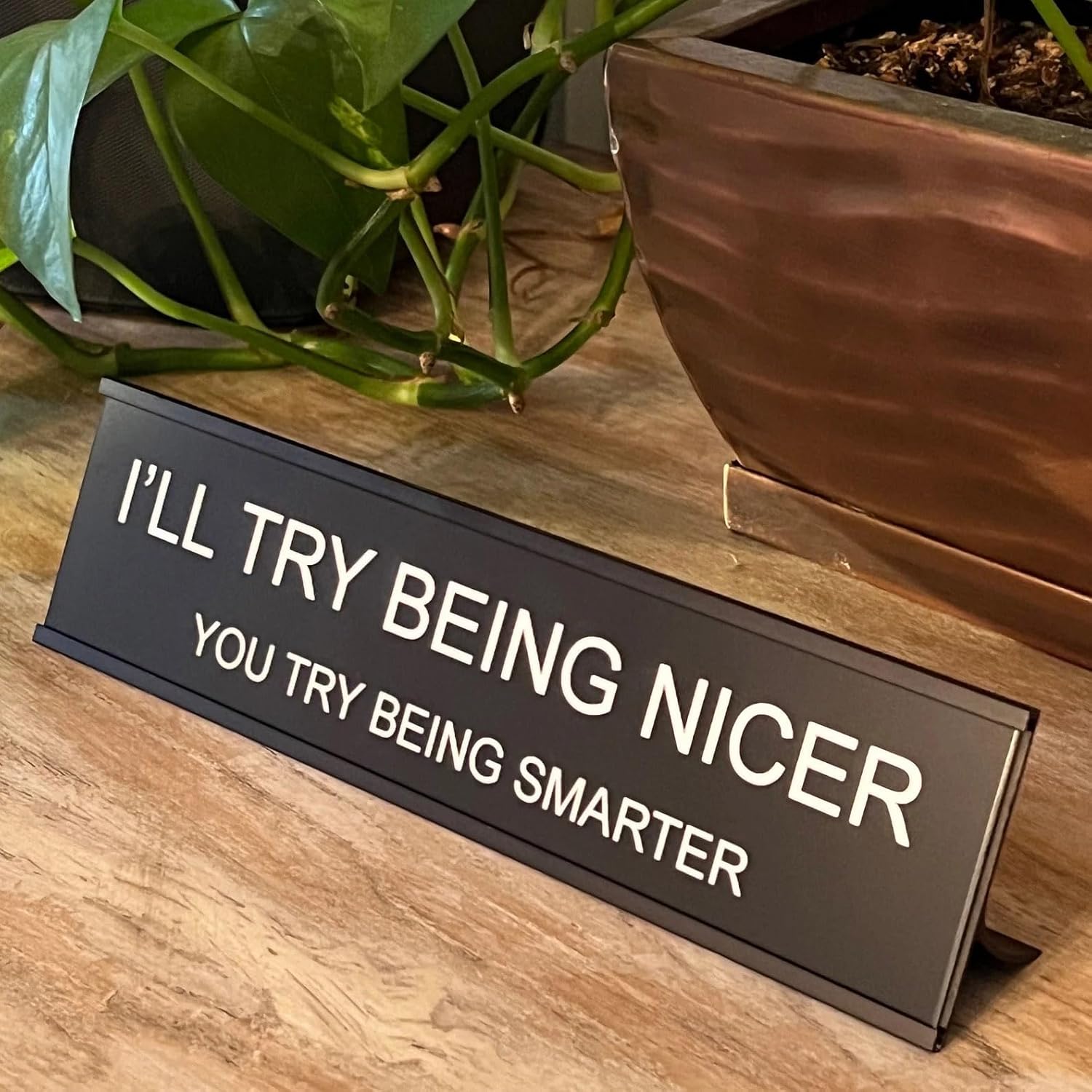 I'll Try Being Nicer Funny Office Desk Sign, Sarcastic Snarky Gift Prank Humor Naughty Sign for Coworker Colleague Intern Mentor Leader Manager Boss Staff Teacher - Image 3