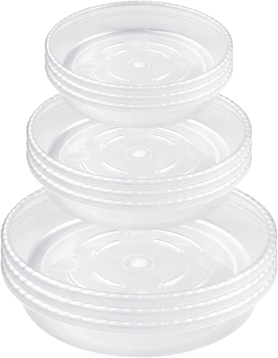 9 Pack Clear Plastic Plant Saucer, Durable Plant Trays Flower Plant Pot Saucer Plant Container Accessories for Indoors & Outdoors, Stop Messes & Stains in Your Garden (6