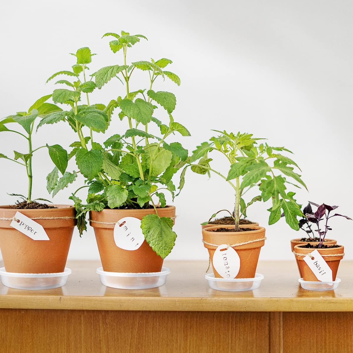9 Pack Clear Plastic Plant Saucer, Durable Plant Trays Flower Plant Pot Saucer Plant Container Accessories for Indoors & Outdoors, Stop Messes & Stains in Your Garden (6