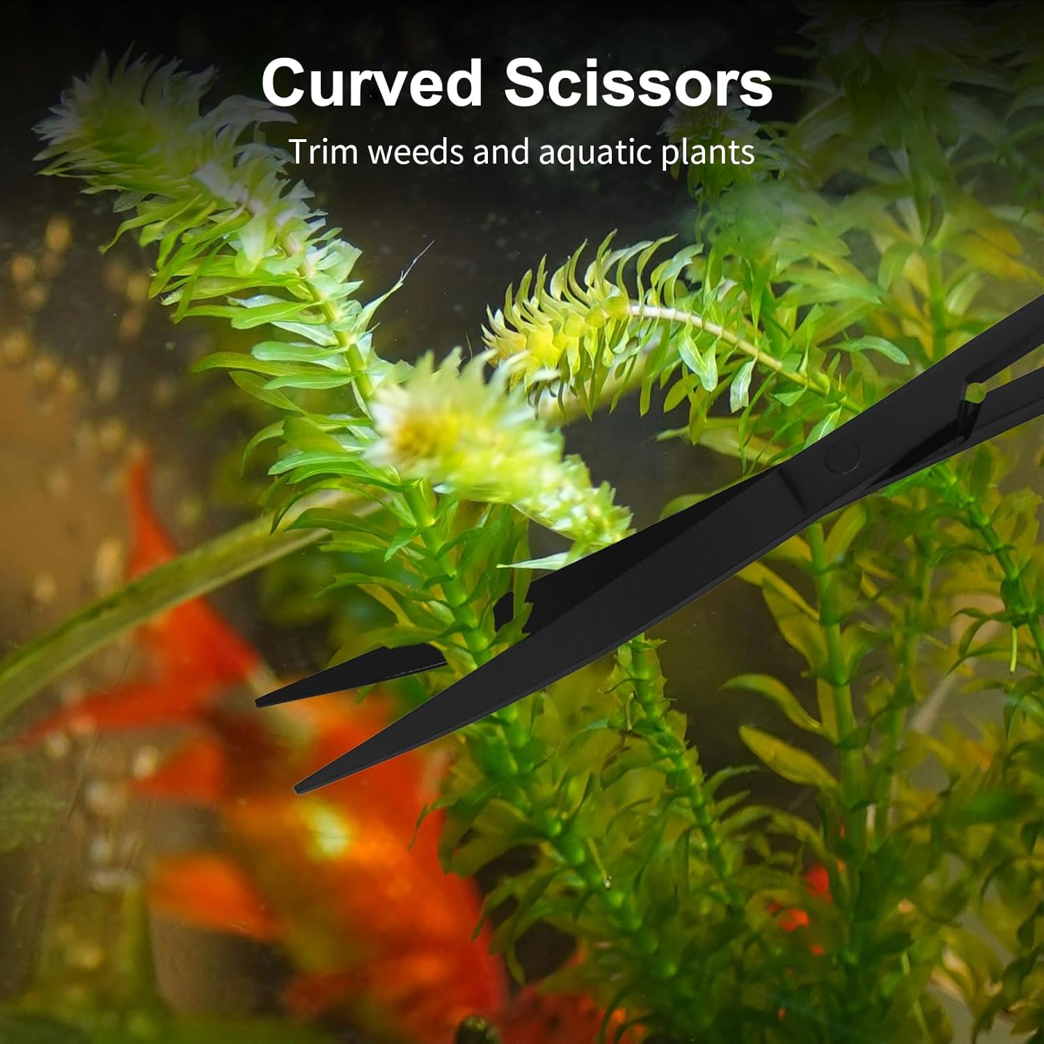 Aquarium Aquascape Tools Kit - 4 in 1 Terrarium Decor Supplies with Long Tweezers Feeding Tongs, Aquarium Scissors, Algae Scraper, Live Fish Plants Tank Accessories Cleaning Trimming Kit - Image 4