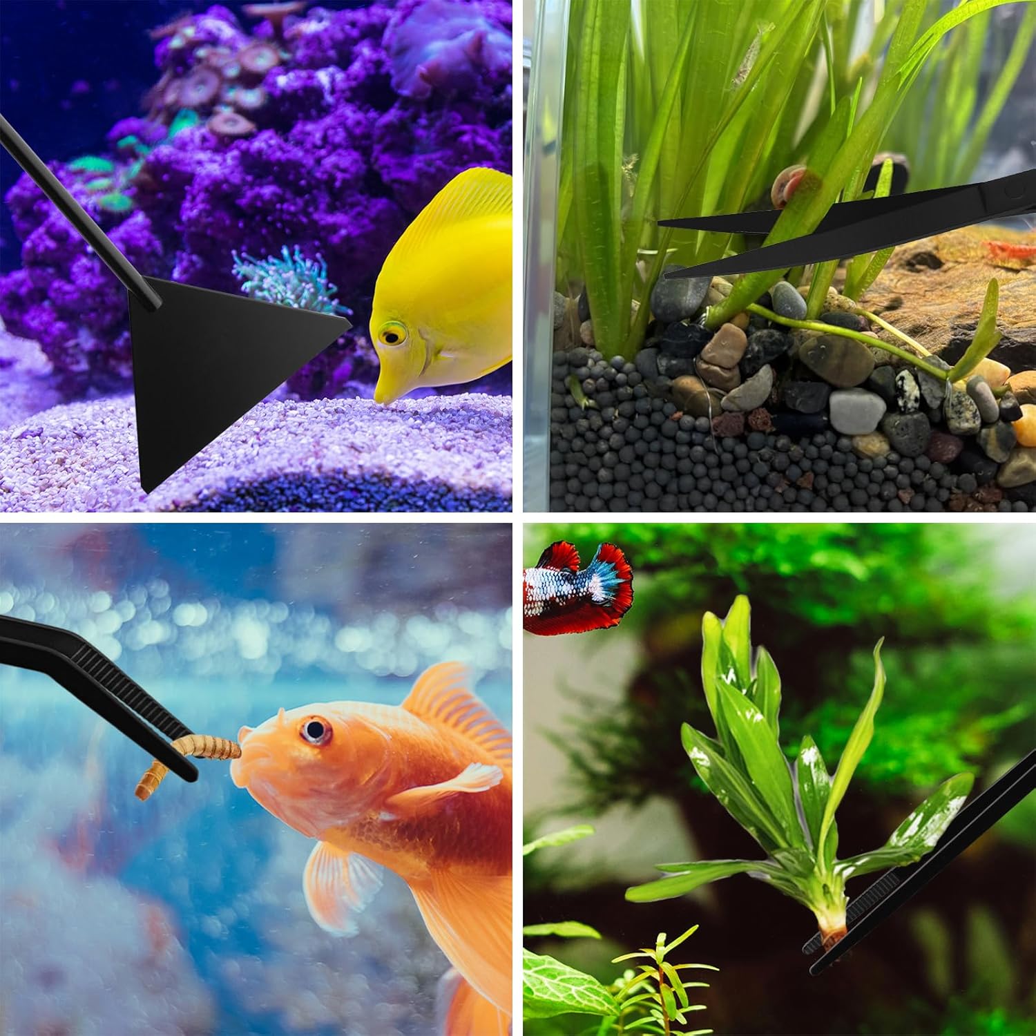 Aquarium Aquascape Tools Kit - 4 in 1 Terrarium Decor Supplies with Long Tweezers Feeding Tongs, Aquarium Scissors, Algae Scraper, Live Fish Plants Tank Accessories Cleaning Trimming Kit - Image 7