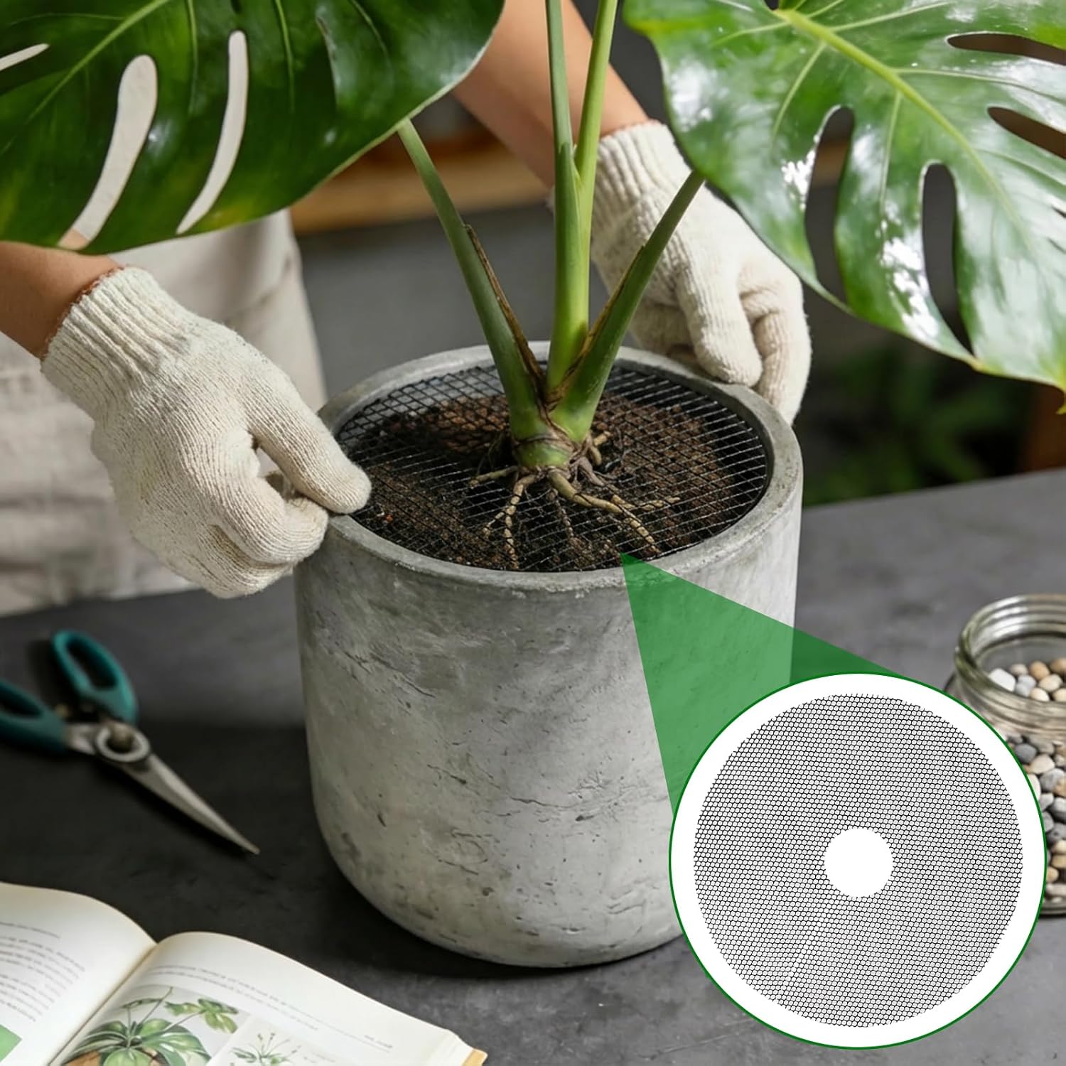 4-Pack Plant Pot Grids- 15.7 Inch Cuttable Mesh Plant Pot Soil Covers -Protectors from Animals - Plant Protector Ring for Indoor Outdoor Garden Plant Landscaping - Image 5