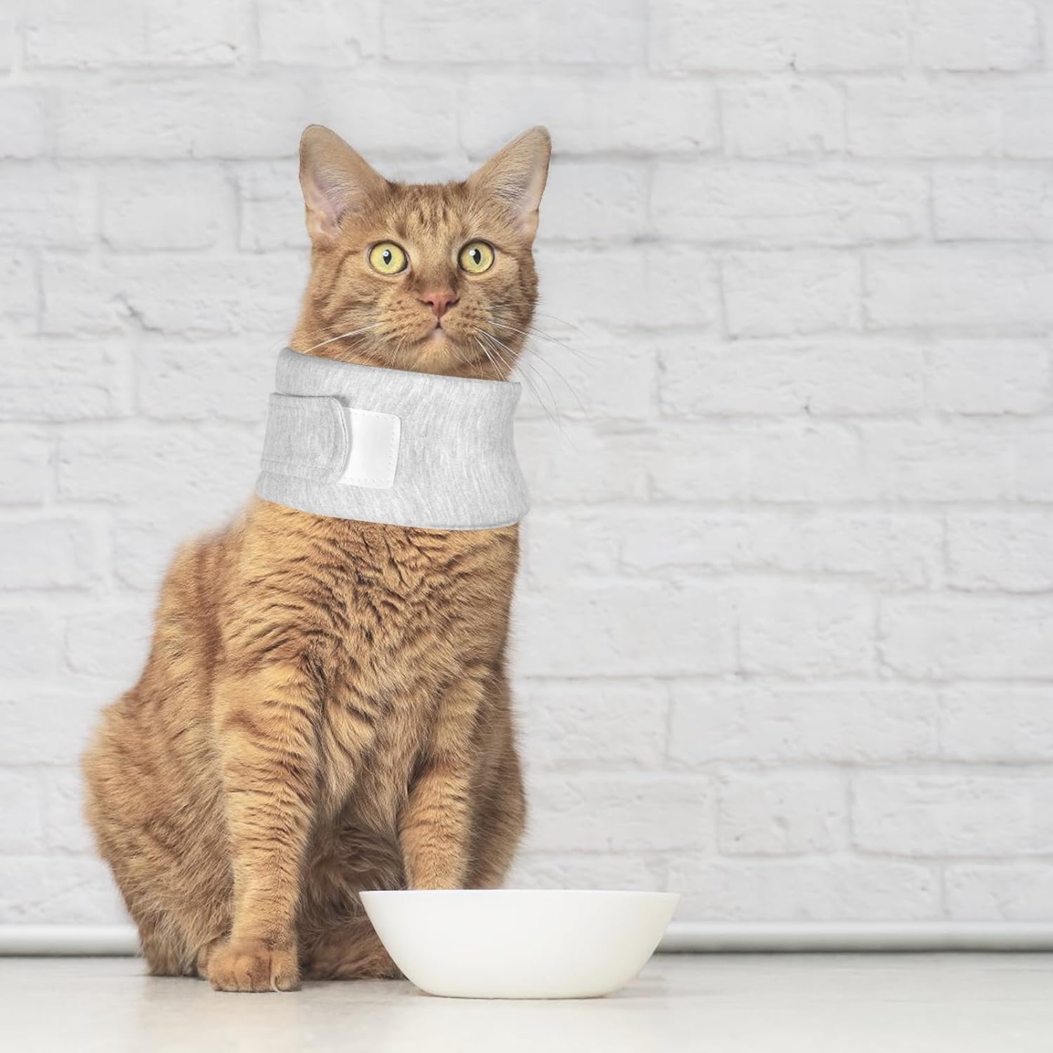 Soft Protective Collar for Cats & Small Dogs - Comfortable Adjustable (21-26 cm) - Set of 1 - Image 4