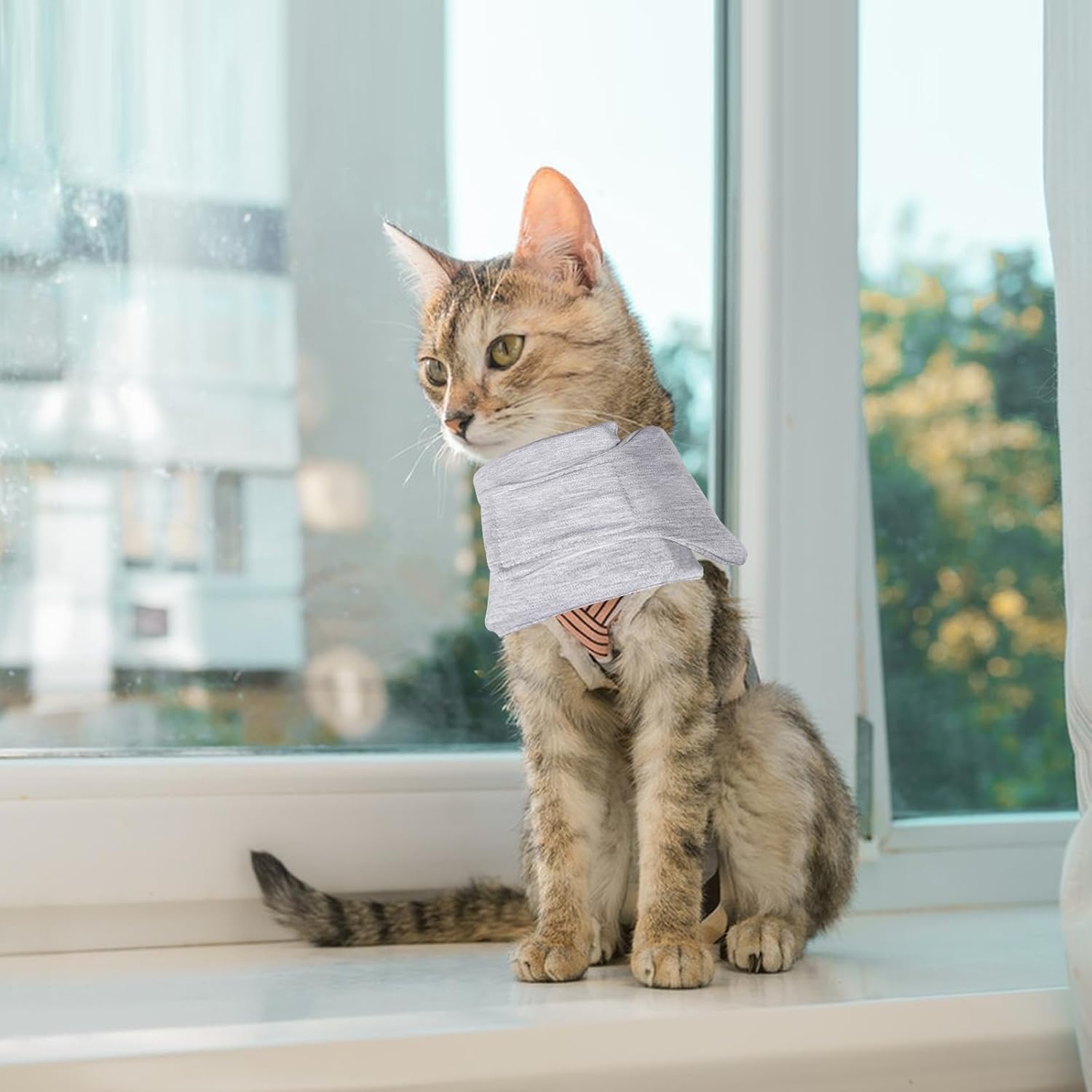 Soft Protective Collar for Cats & Small Dogs - Comfortable Adjustable (21-26 cm) - Set of 1 - Image 5