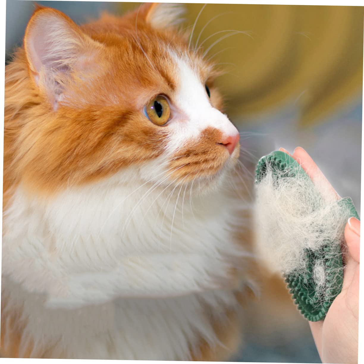 2 Pack Pet Massage Brush for Dog and Cat Grooming Green - Image 4