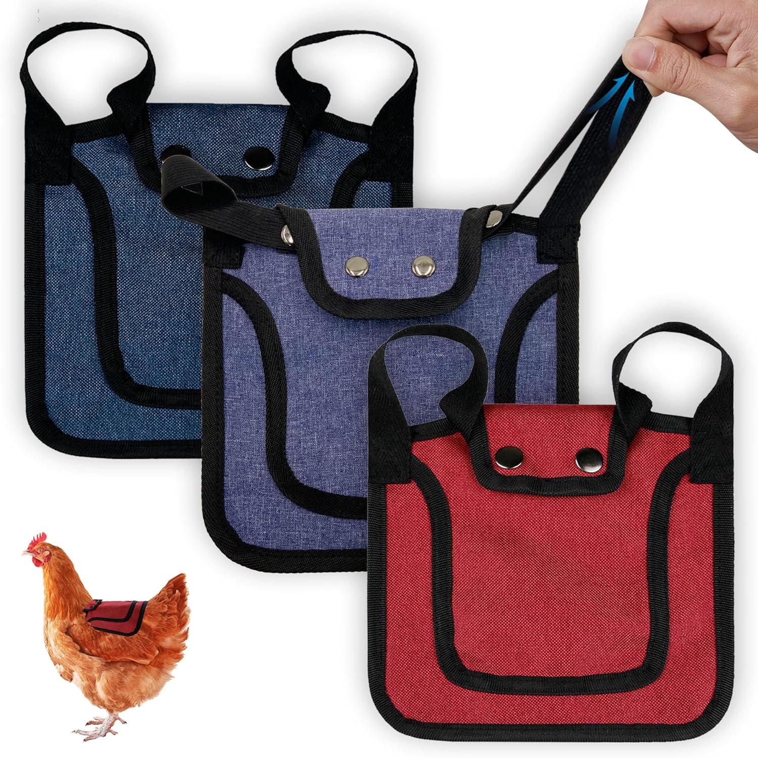 3 Piece Chicken Saddle Set Red/Blue/Purple Elastic Strap Back and Side Protection Poultry Accessories - Image 1