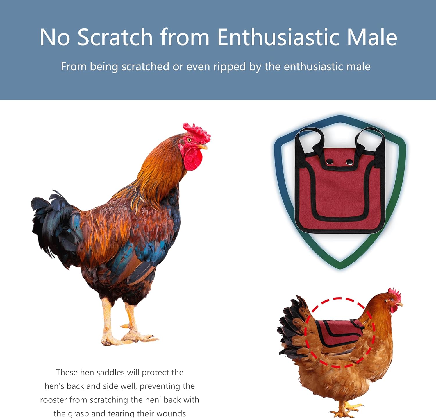 3 Piece Chicken Saddle Set Red/Blue/Purple Elastic Strap Back and Side Protection Poultry Accessories - Image 2