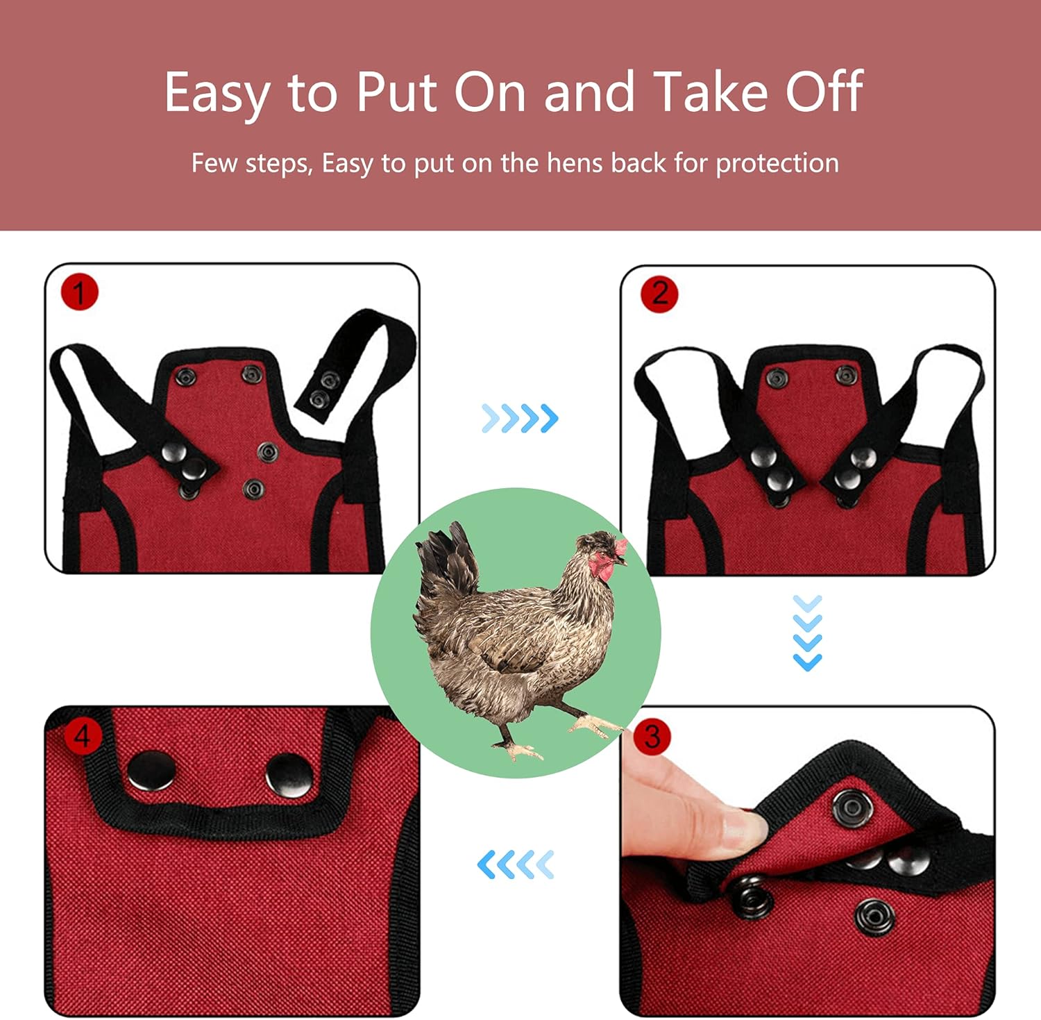 3 Piece Chicken Saddle Set Red/Blue/Purple Elastic Strap Back and Side Protection Poultry Accessories - Image 5