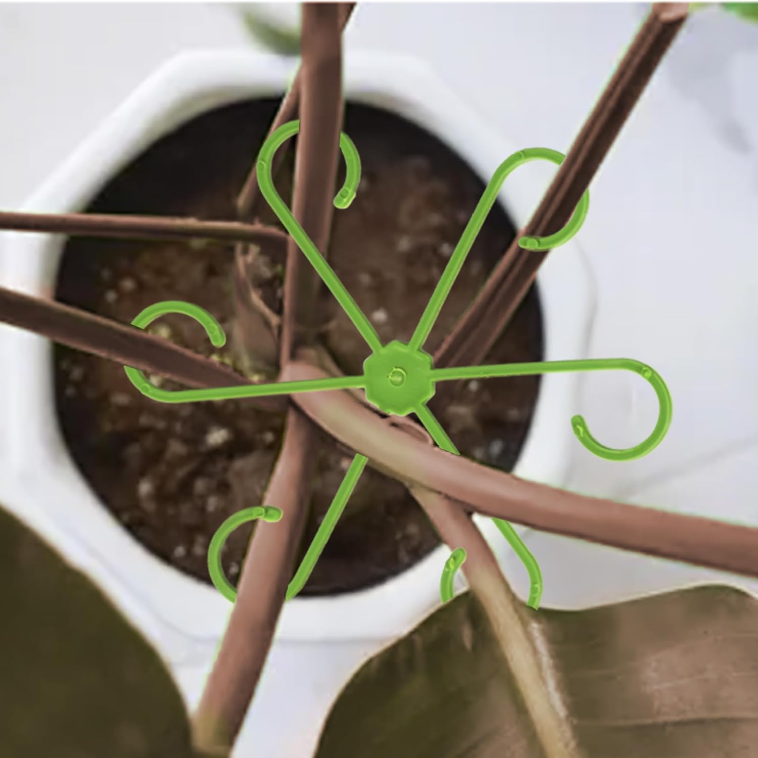 16 Pack Indoor Plant Stakes 4 Sizes 4 of Each Size Green Plant Supports for Tall Plants Monstera Plant Anchors Plant Fixing Hooks Suitable for Indoor Gardens - Image 3