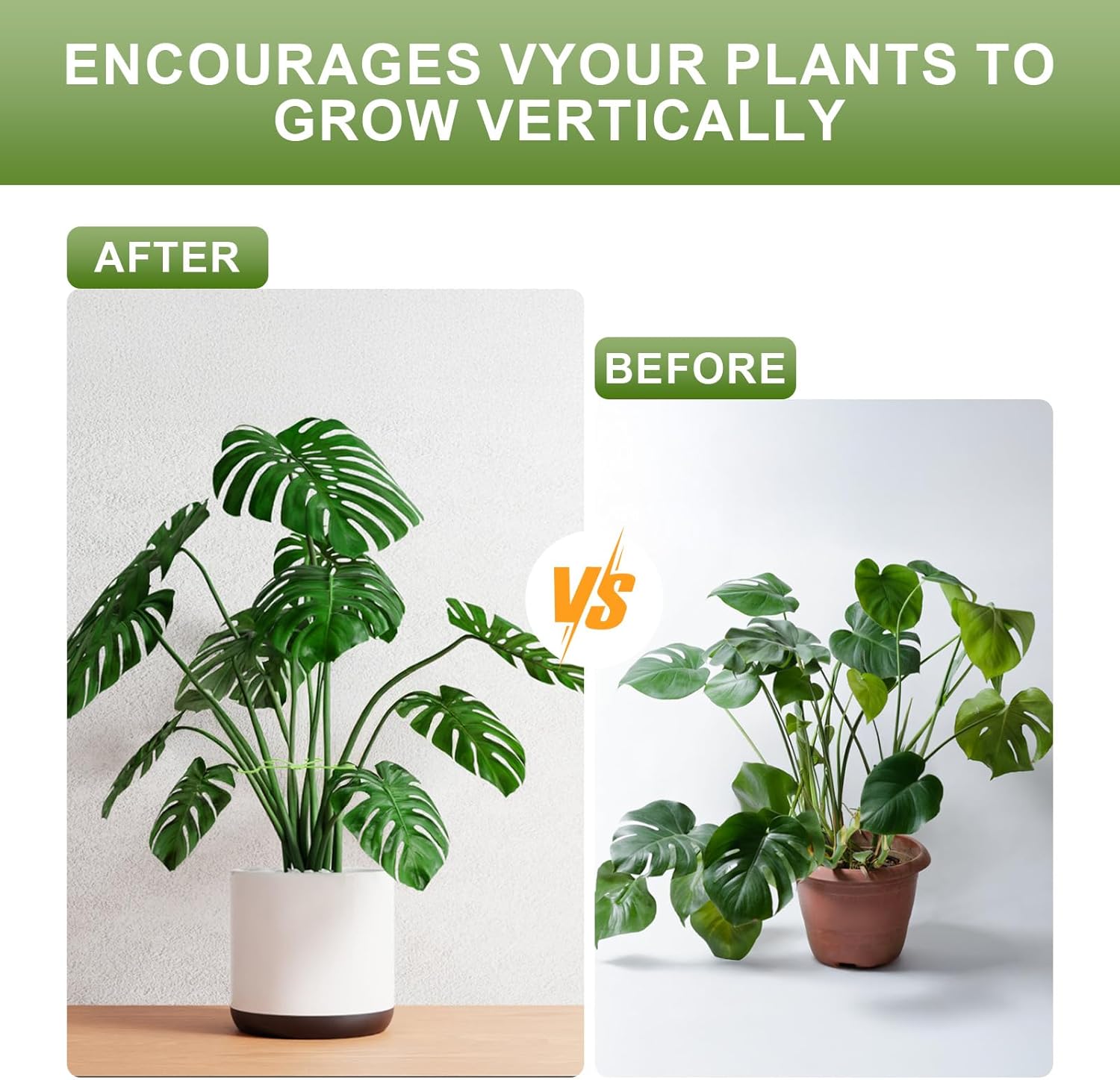 16 Pack Indoor Plant Stakes 4 Sizes 4 of Each Size Green Plant Supports for Tall Plants Monstera Plant Anchors Plant Fixing Hooks Suitable for Indoor Gardens - Image 4