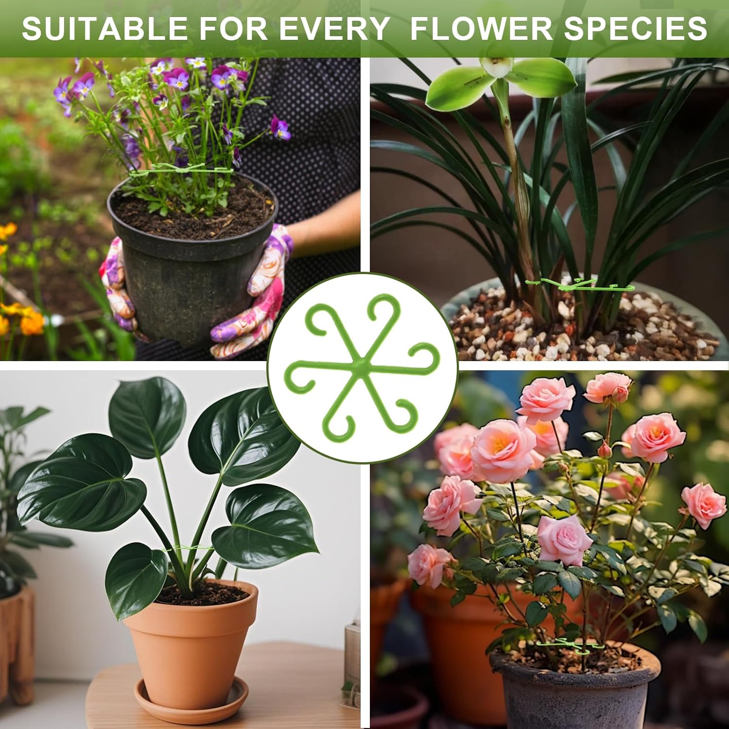 16 Pack Indoor Plant Stakes 4 Sizes 4 of Each Size Green Plant Supports for Tall Plants Monstera Plant Anchors Plant Fixing Hooks Suitable for Indoor Gardens - Image 5