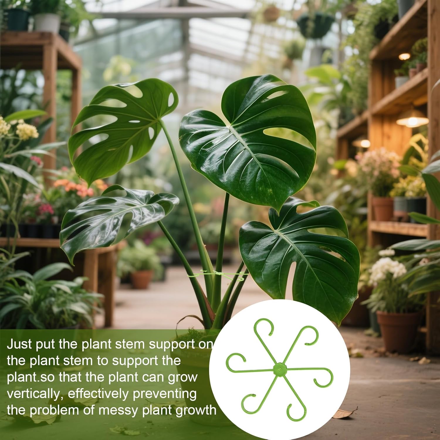 16 Pack Indoor Plant Stakes 4 Sizes 4 of Each Size Green Plant Supports for Tall Plants Monstera Plant Anchors Plant Fixing Hooks Suitable for Indoor Gardens - Image 6