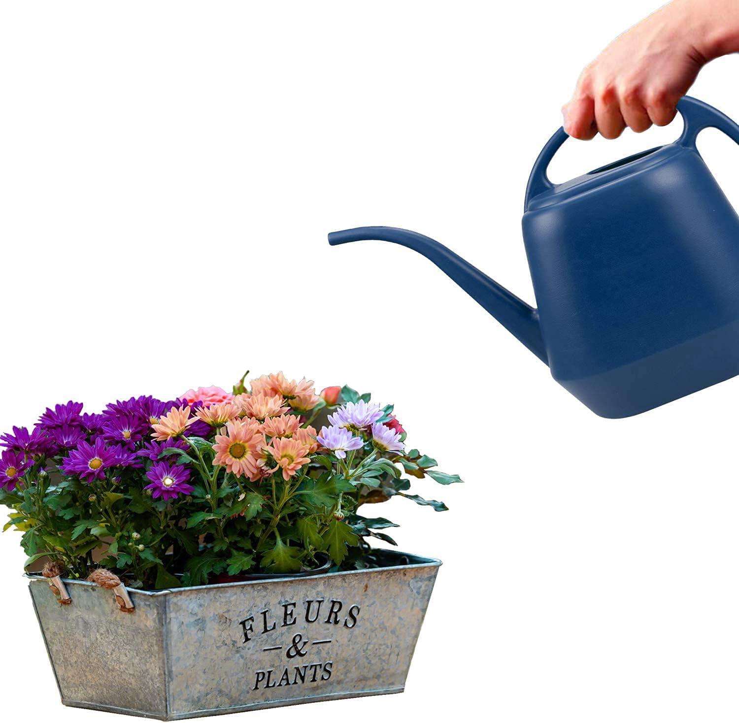 1 Gallon Blue Watering Can for Indoor Outdoor Plants - Image 4