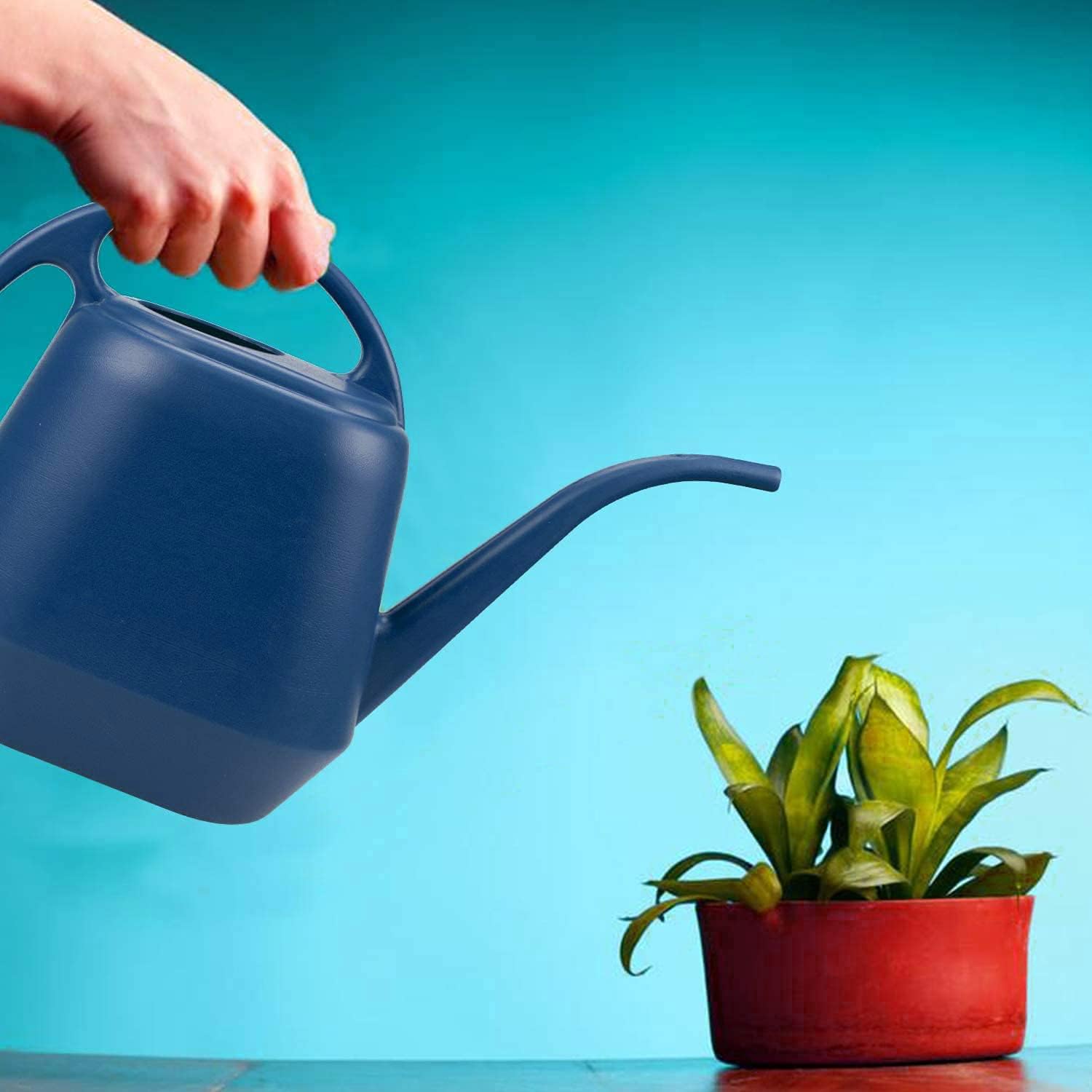 1 Gallon Blue Watering Can for Indoor Outdoor Plants - Image 5