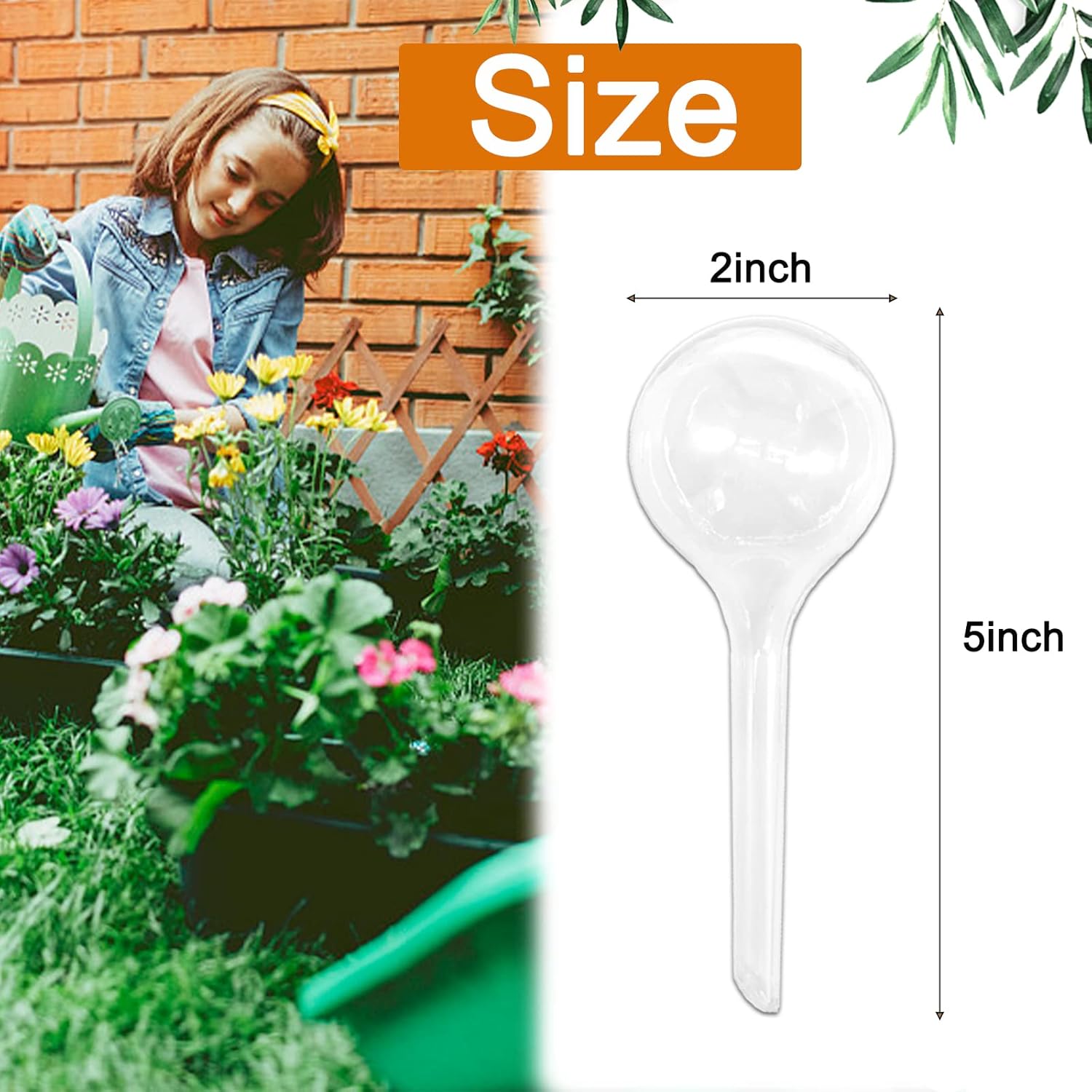 8 Pack Self Watering Balls Transparent Automatic Plant Waterer for Indoor Outdoor Flower Pots Plastic Self Watering Device - Image 2