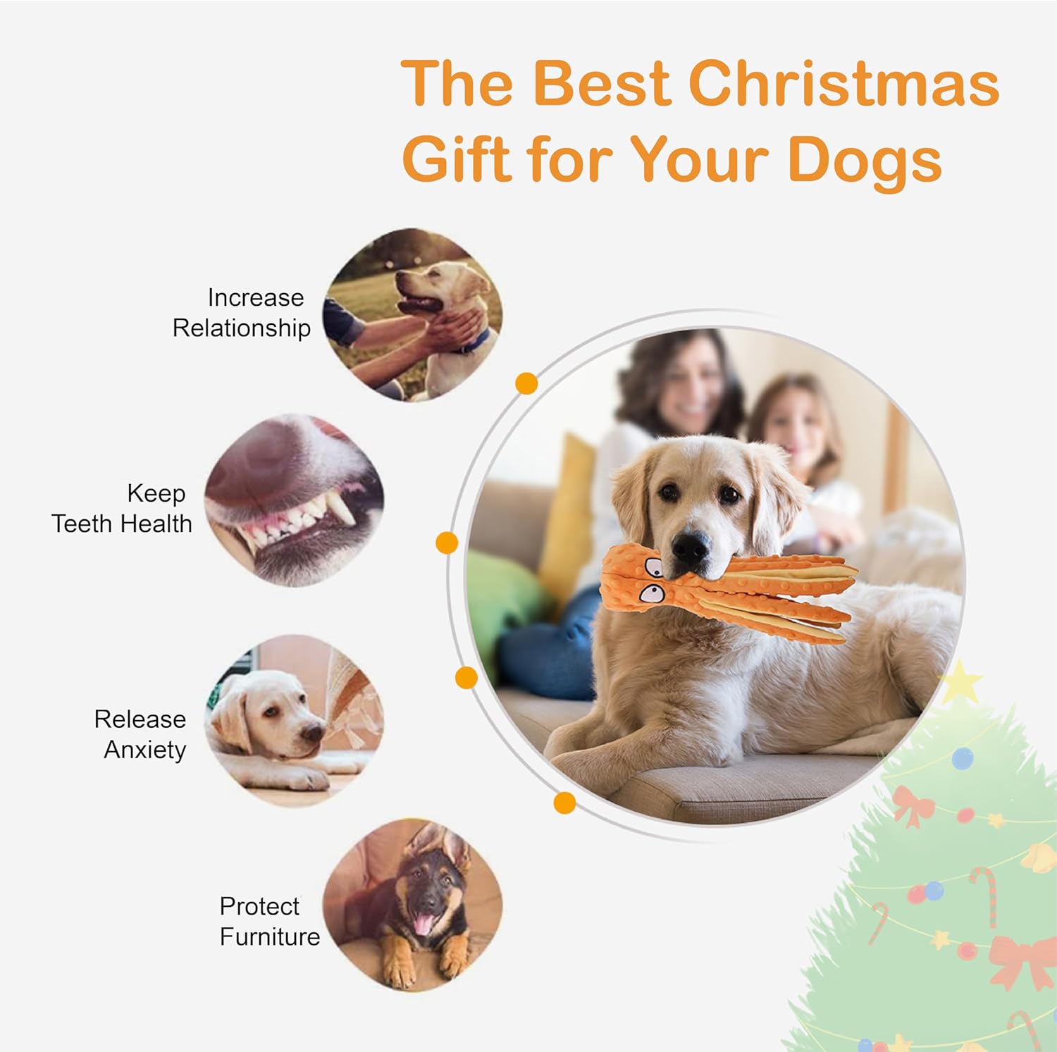 2-Pack Squeaky Plush Dog Toys for Chewers Puppy Teething Durable Interactive Chew Toys for Small Medium Large Dogs Training and Boredom Relief - Image 5