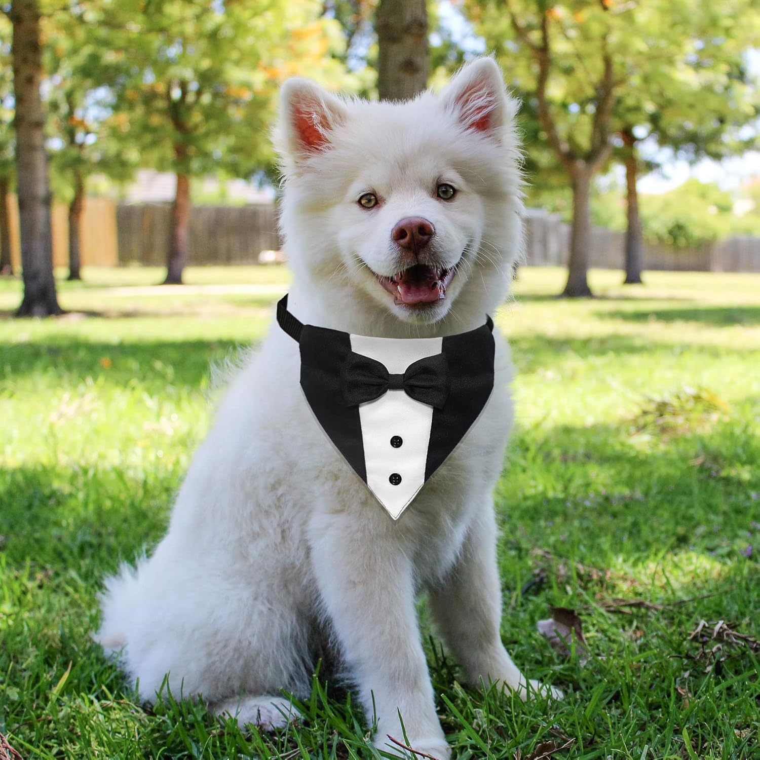 Formal Dog Smoking Set Collar Neckband Adjustable 12.5-21 Inch Black Formal Dog Dress for Wedding Engagement Birthday Fits Small Medium Large Dogs and Other Pets - Image 4