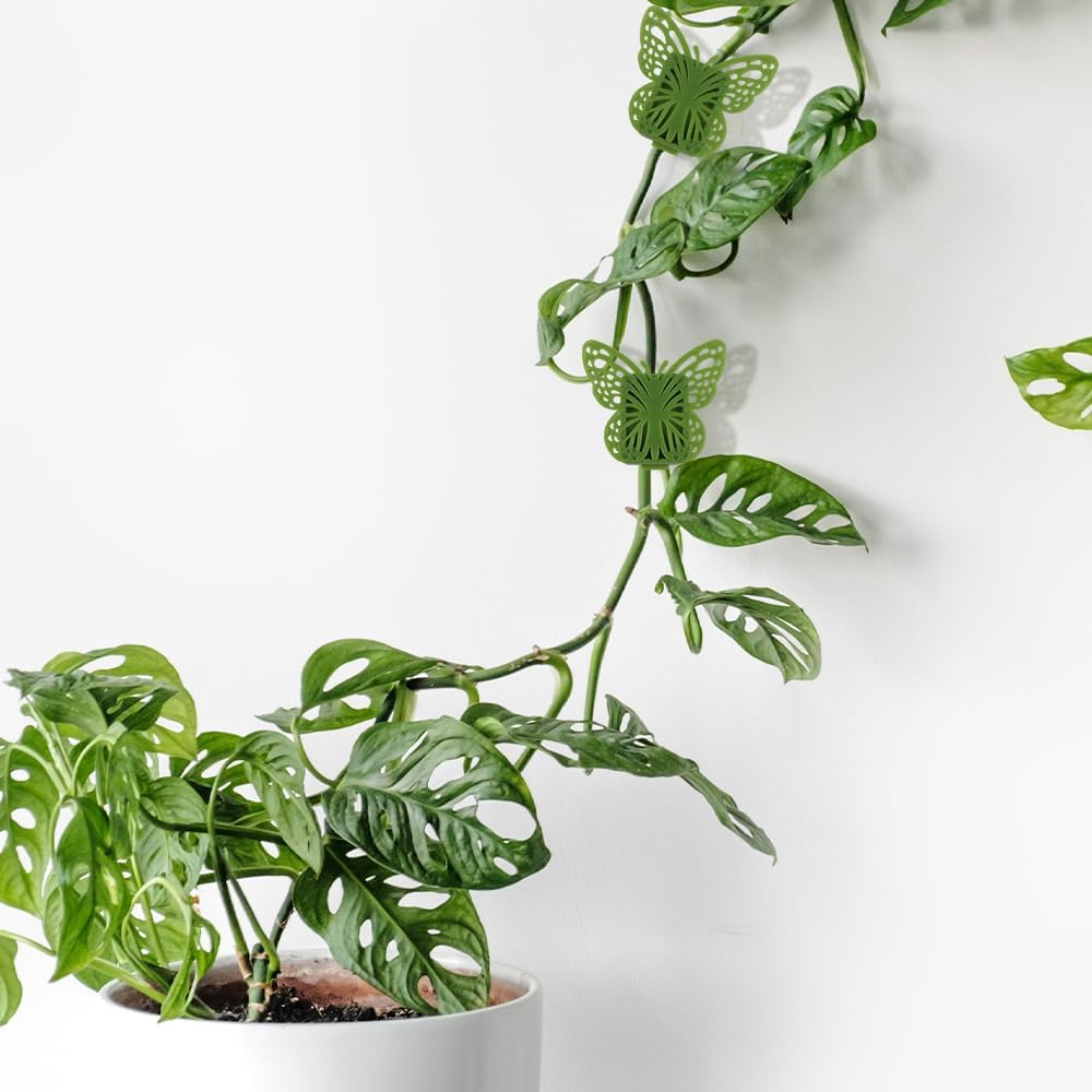 30 Green Butterfly Leaf Plant Clips Invisible Wall Plant Support Hooks Vinyl Cross Brackets for Indoor Outdoor Climbing Plants - Image 3