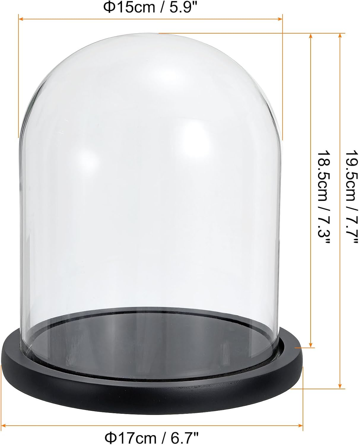 Glass Dome with Black Wooden Base - Clock Shaped Display Case - Home Decor - Desk Ornament - Christmas Decoration for Indoor Use - Image 2
