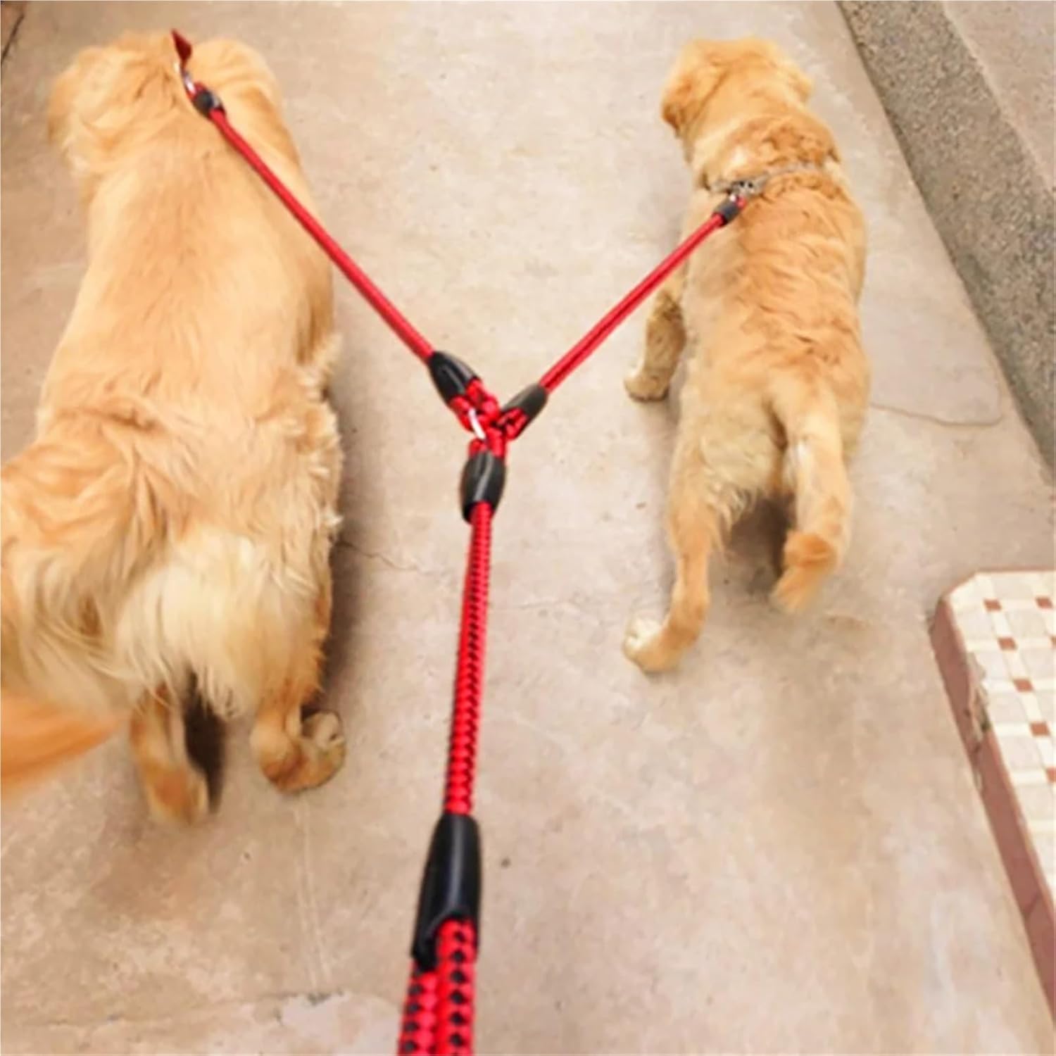 Red and Black Double Dog Leash and Collar Set - 1.4m Long - Durable Pet Lead for Dogs - Image 2