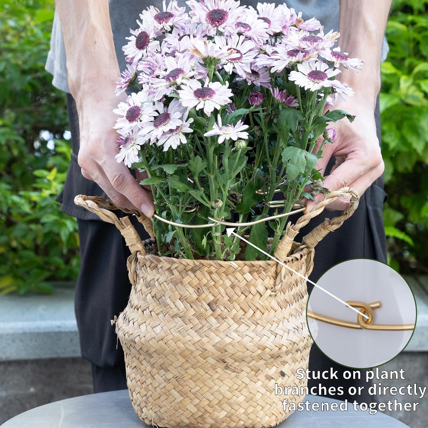 Gold Indoor Plant Stand for Climbing Plants - Plant Support Holder - Image 4