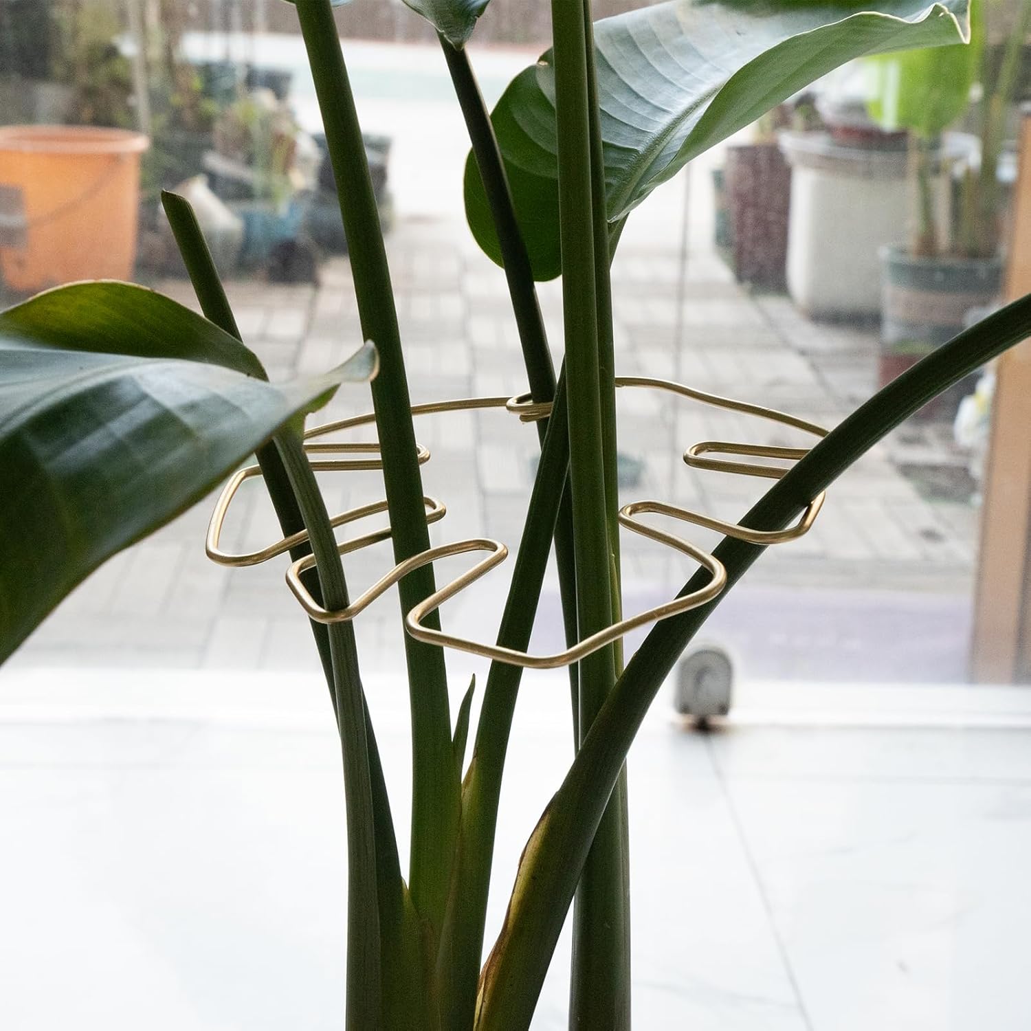 Gold Indoor Plant Stand for Climbing Plants - Plant Support Holder - Image 6