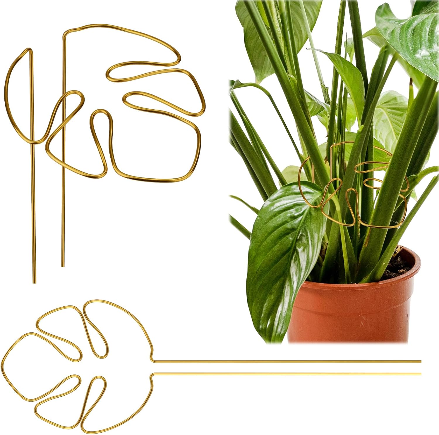 2 Pack Gold Plant Supports Indoor Outdoor Plant Stakes Clips Plant Stand for Plant Support - Image 1