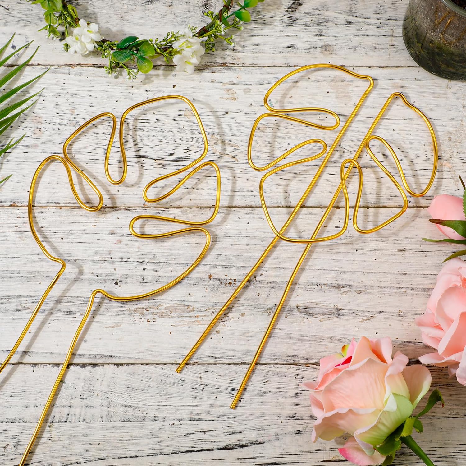 2 Pack Gold Plant Supports Indoor Outdoor Plant Stakes Clips Plant Stand for Plant Support - Image 3