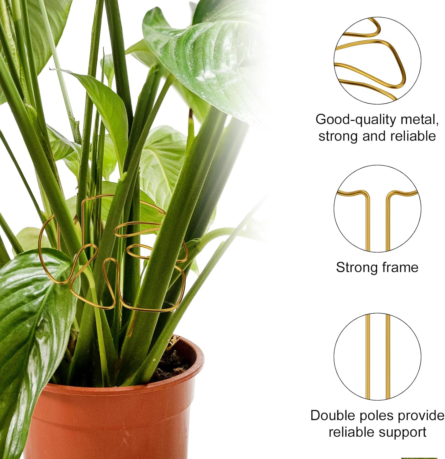2 Pack Gold Plant Supports Indoor Outdoor Plant Stakes Clips Plant Stand for Plant Support - Image 5