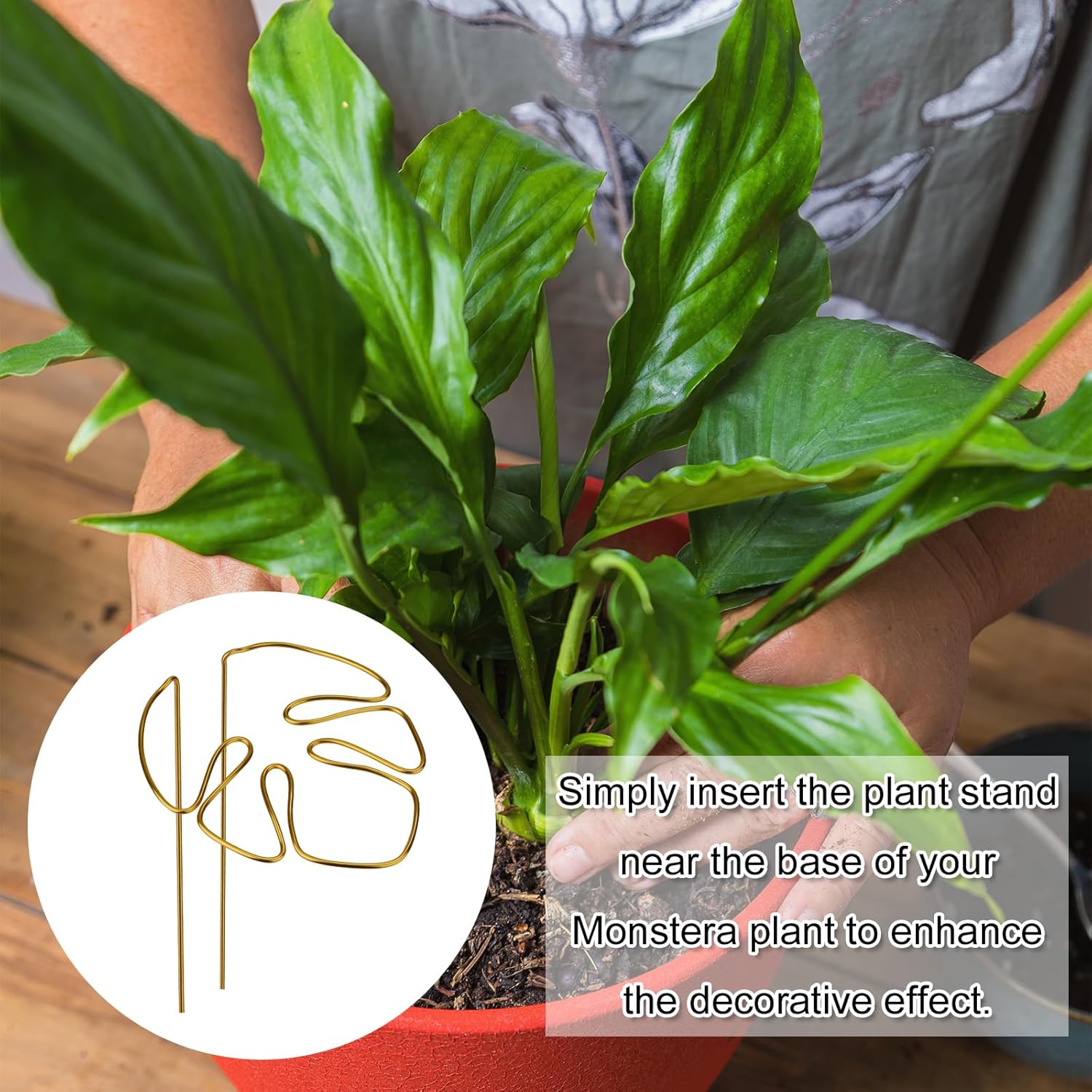 2 Pack Gold Plant Supports Indoor Outdoor Plant Stakes Clips Plant Stand for Plant Support - Image 6