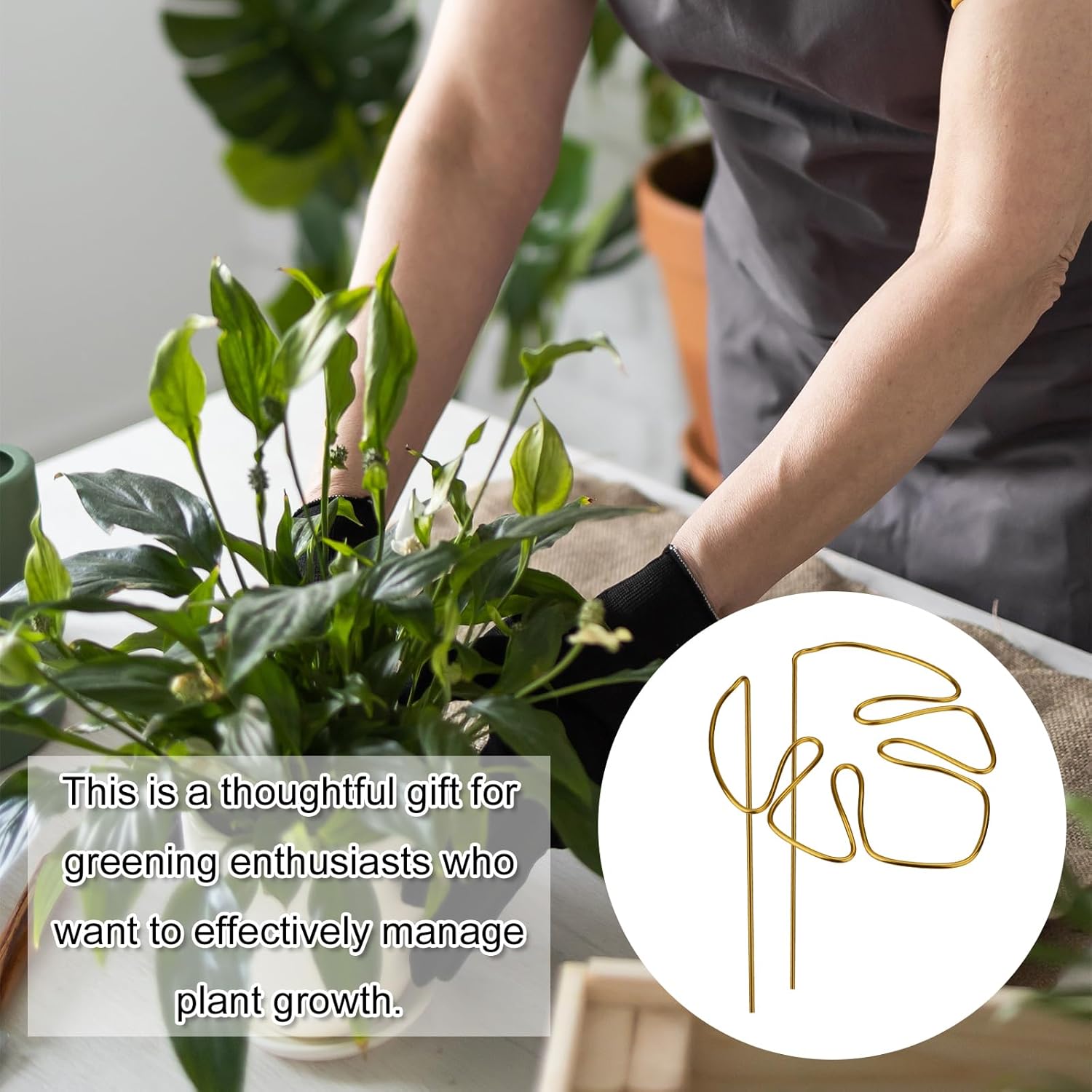 2 Pack Gold Plant Supports Indoor Outdoor Plant Stakes Clips Plant Stand for Plant Support - Image 7