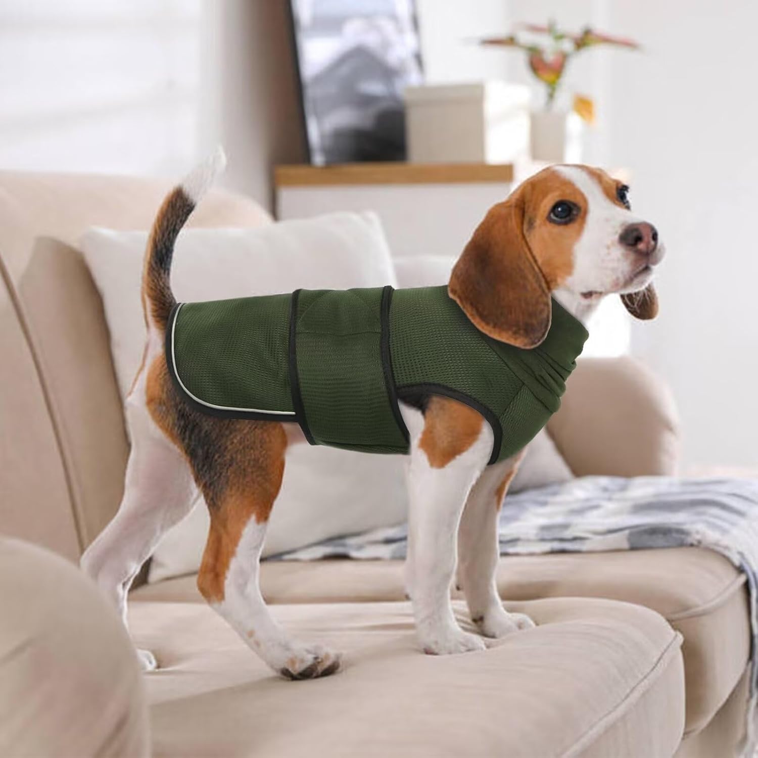 Small Military Green Dog Winter Coat - Soft Warm Adjustable Bodywarmer for Dogs - Image 5