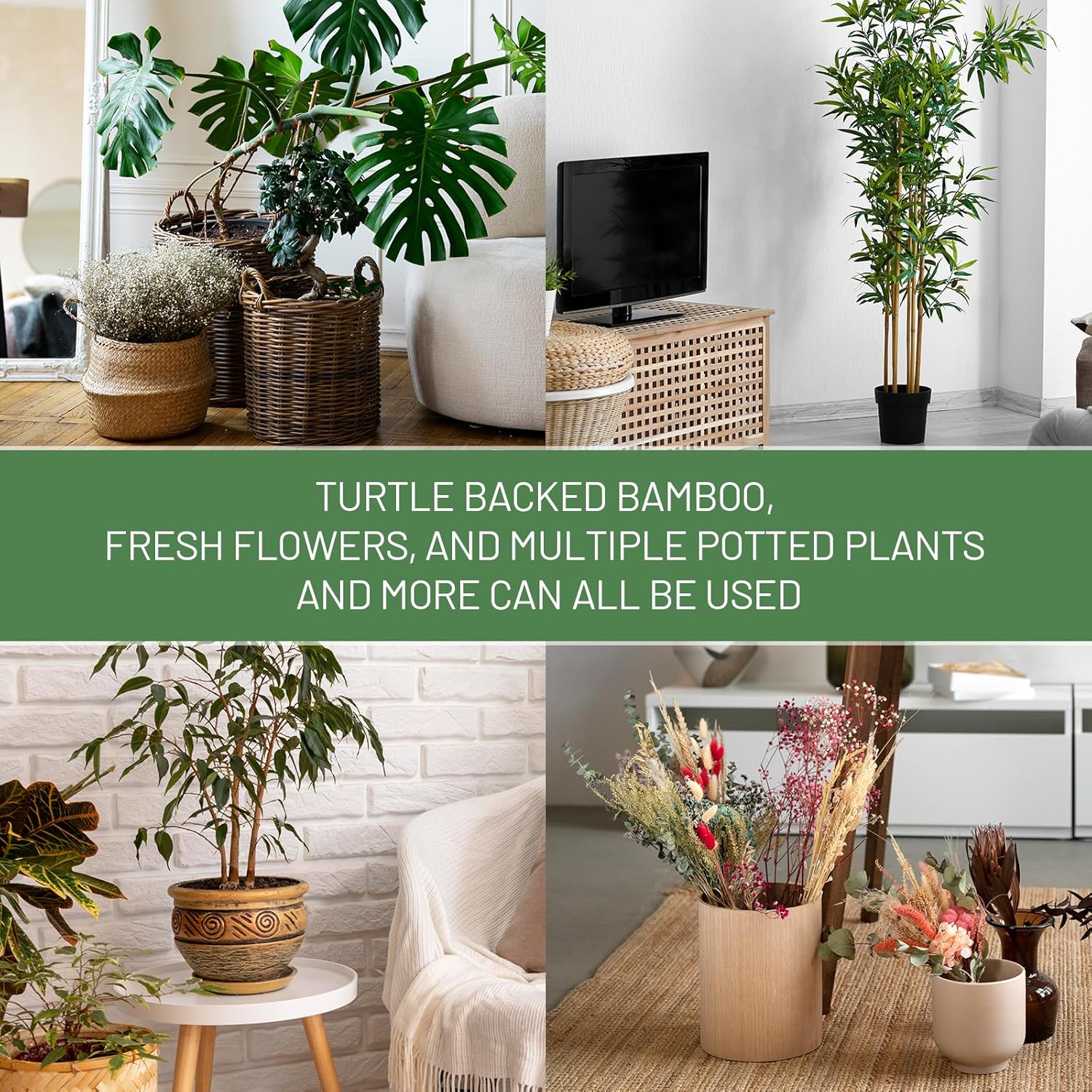 10.5cm x 10.5cm Gold Plant Stem Supports 4 Pack - Indoor Plant Stakes for Tall Plants, Monstera - Plant Anchoring Hooks for Indoor Gardens - Image 5