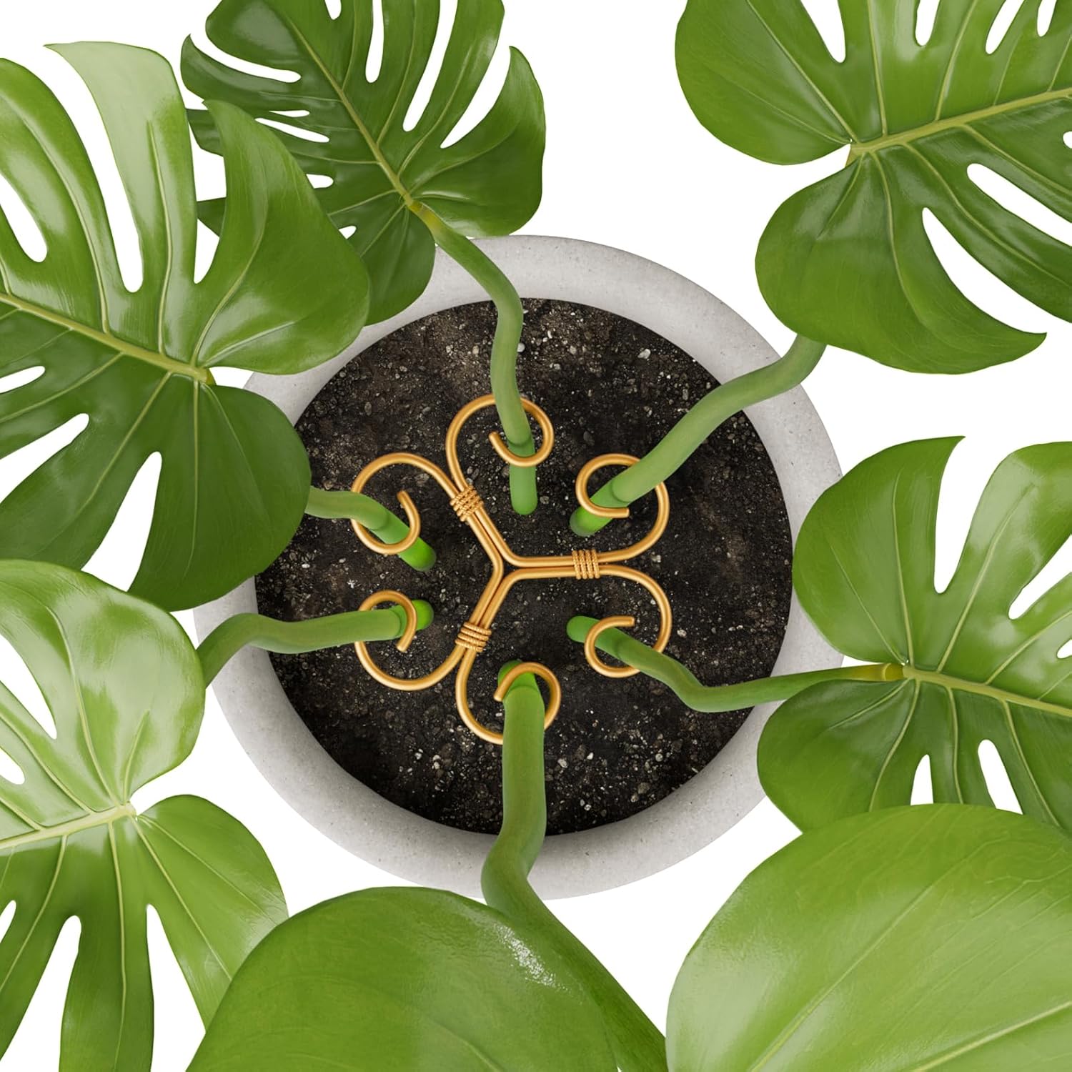 10.5cm x 10.5cm Gold Plant Stem Supports 4 Pack - Indoor Plant Stakes for Tall Plants, Monstera - Plant Anchoring Hooks for Indoor Gardens - Image 6