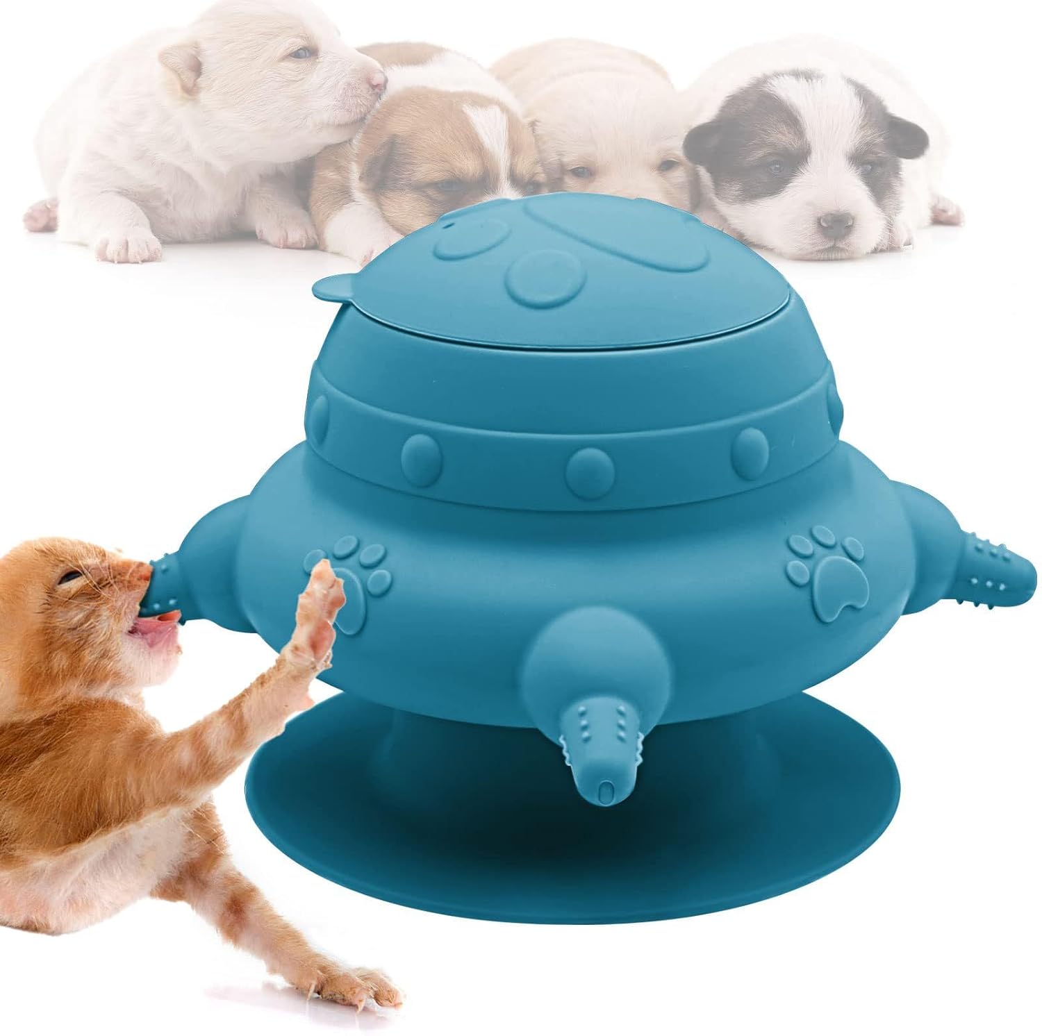 4 Teat Puppy Kitten Feeder Blue for Newborn Pets - Image 1