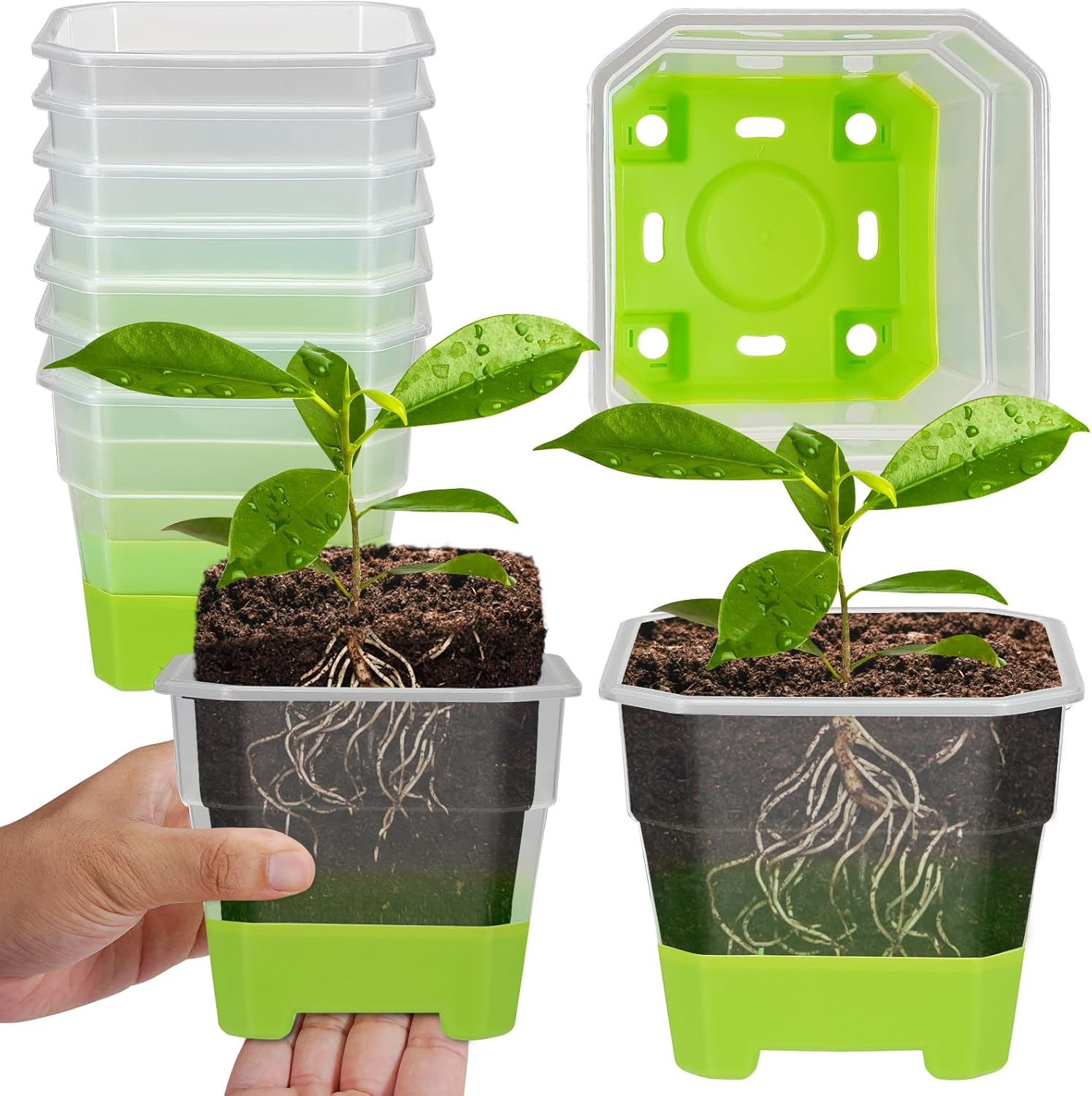 12 Pcs Reusable Green Seedling Starter Pots - Mini Succulent Planters for Seed Germination - Image 1