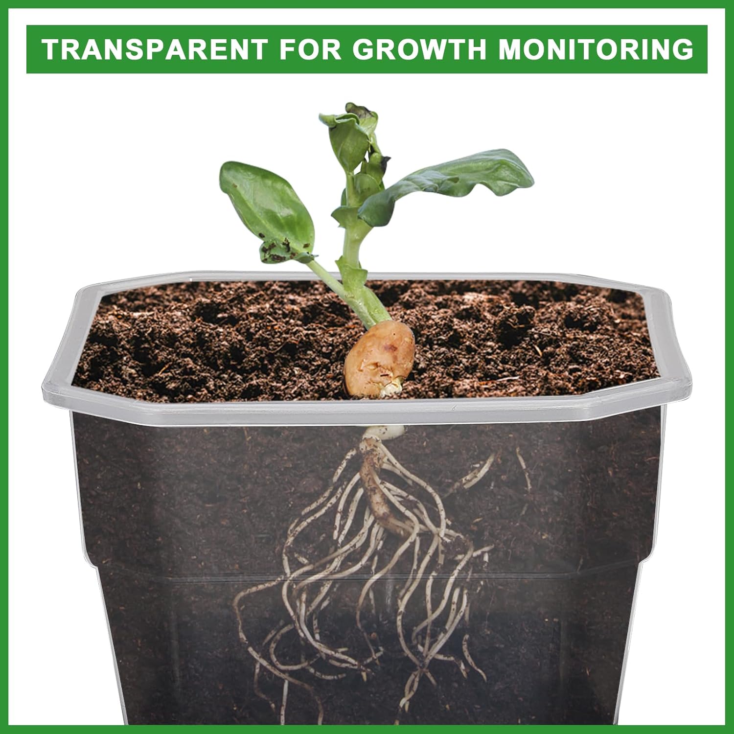 12 Pcs Reusable Green Seedling Starter Pots - Mini Succulent Planters for Seed Germination - Image 3