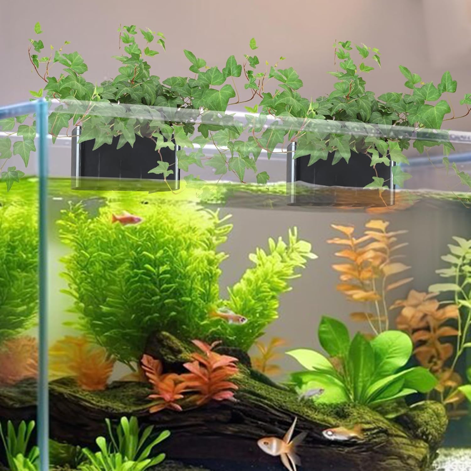 Hydroponic Aquarium Plant Holder 2 Pack Black 9x9x6cm for Aquascape Plant Cultivation - Image 4